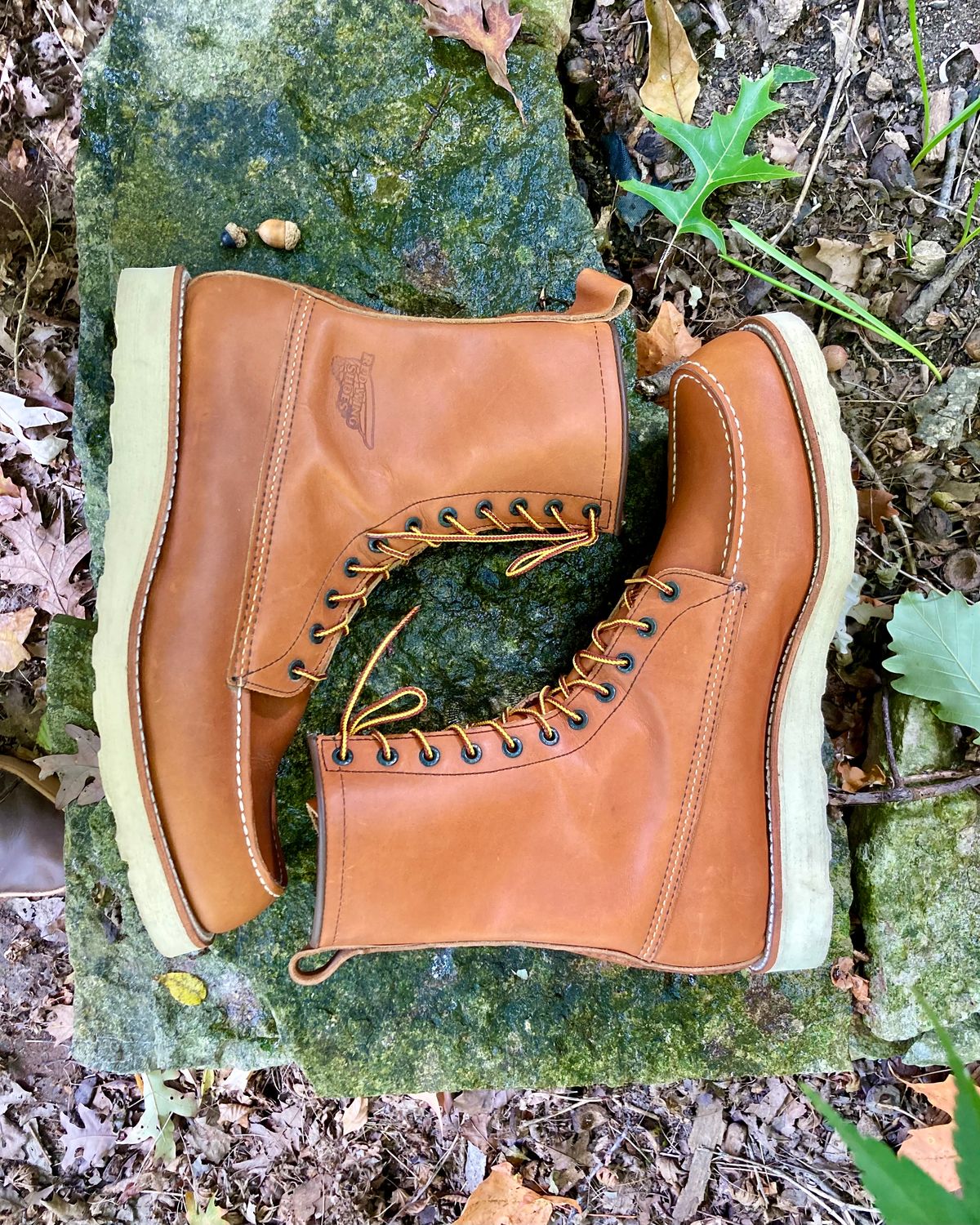 Photo by mreams99 on October 2, 2022 of the Red Wing 8-Inch Classic Moc in S.B. Foot Oro-Iginal.