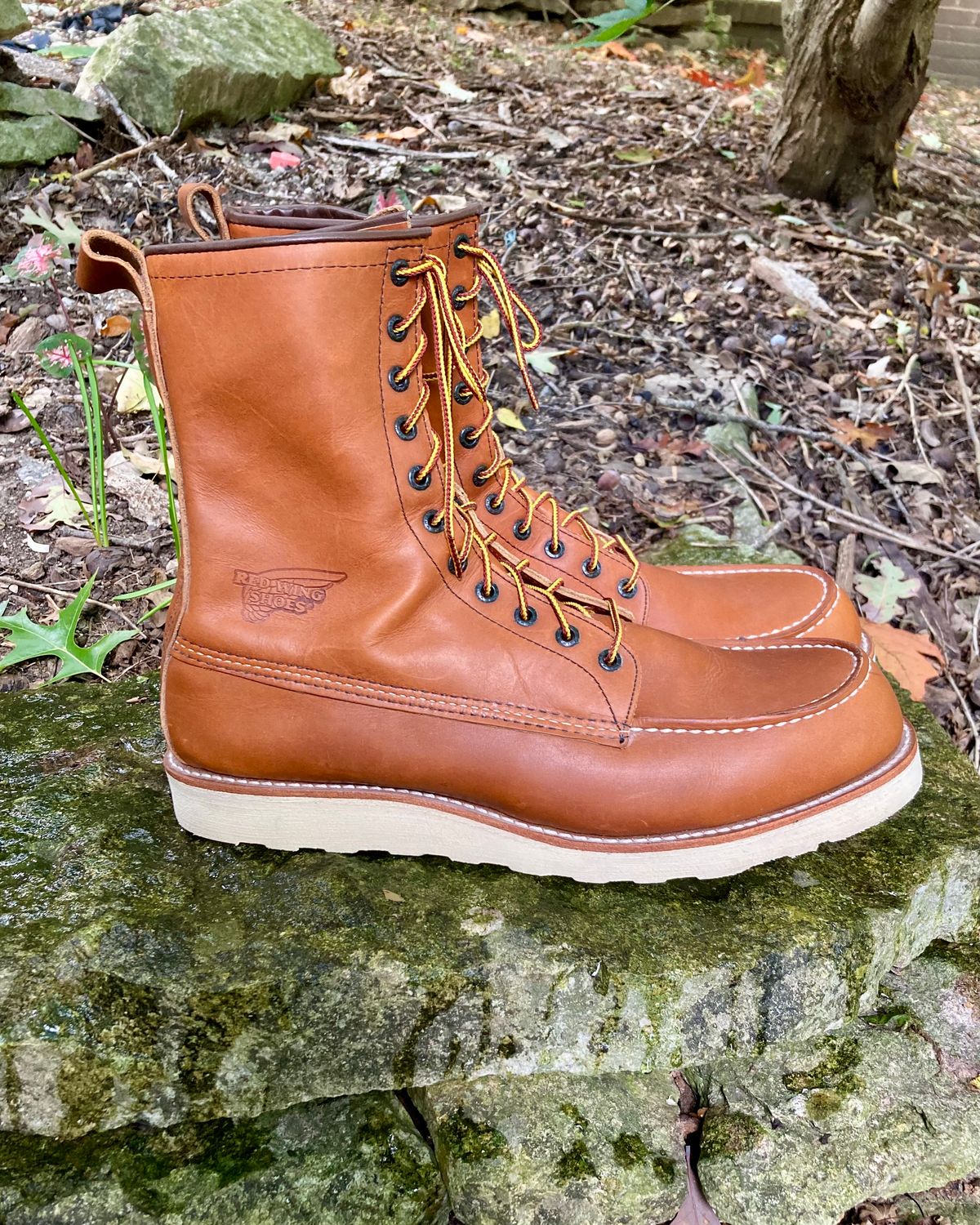 Photo by mreams99 on October 2, 2022 of the Red Wing 8-Inch Classic Moc in S.B. Foot Oro-Iginal.