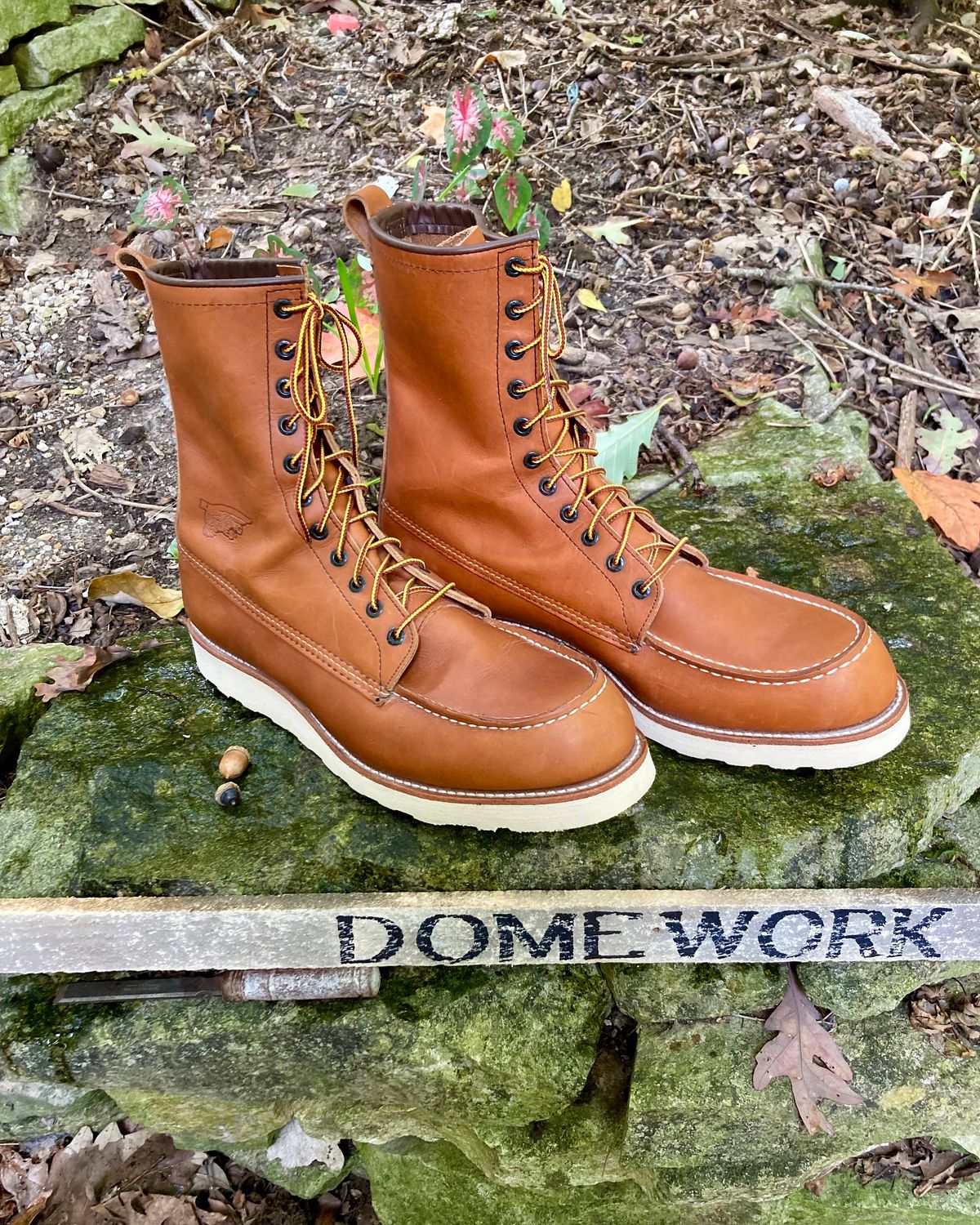 Photo by mreams99 on October 2, 2022 of the Red Wing 8-Inch Classic Moc in S.B. Foot Oro-Iginal.