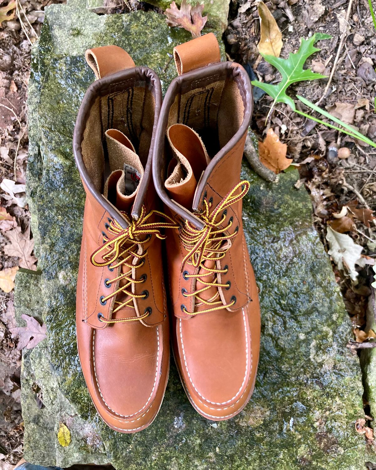 Photo by mreams99 on October 2, 2022 of the Red Wing 8-Inch Classic Moc in S.B. Foot Oro-Iginal.