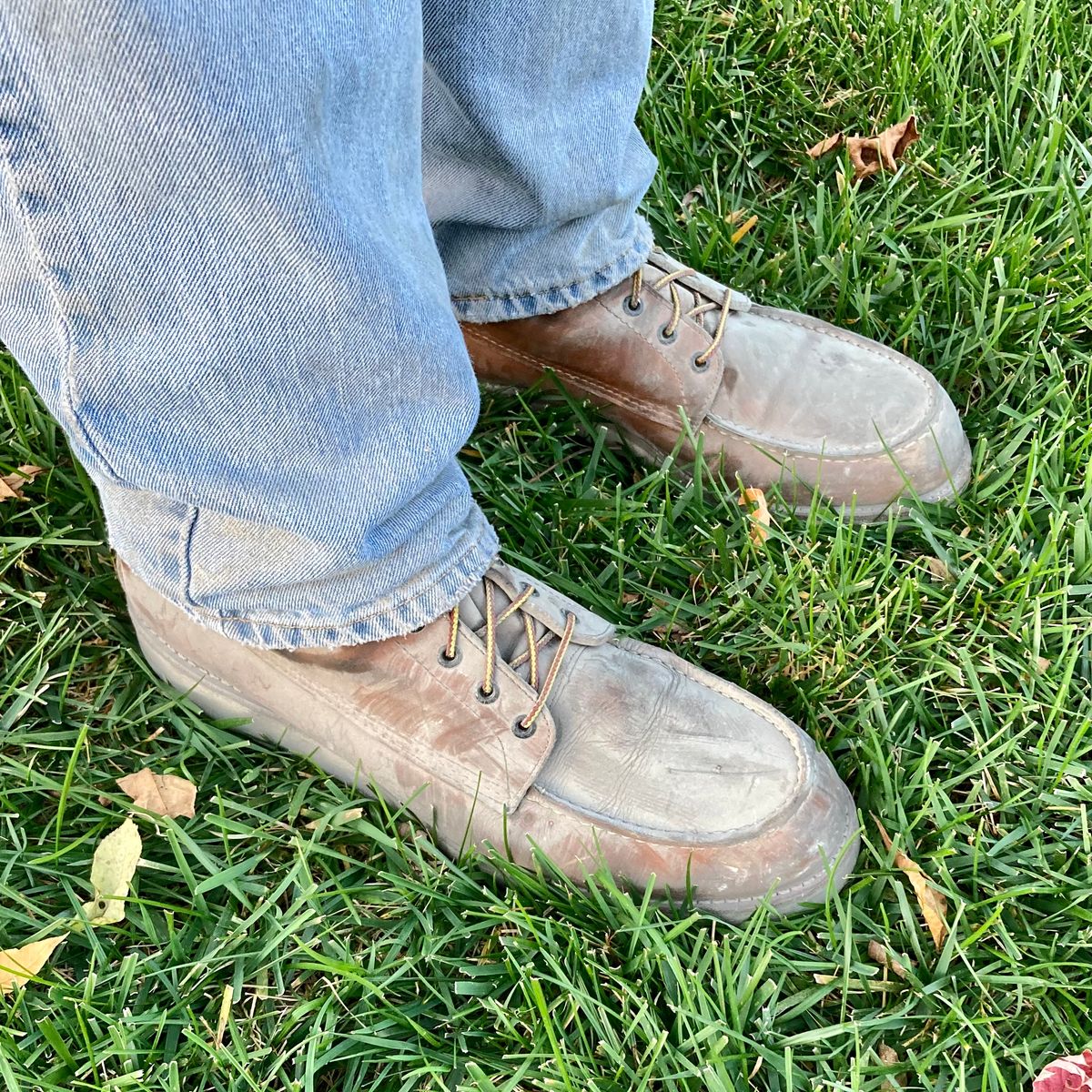 Photo by mreams99 on October 16, 2022 of the Red Wing 8-Inch Classic Moc in S.B. Foot Oro-Iginal.