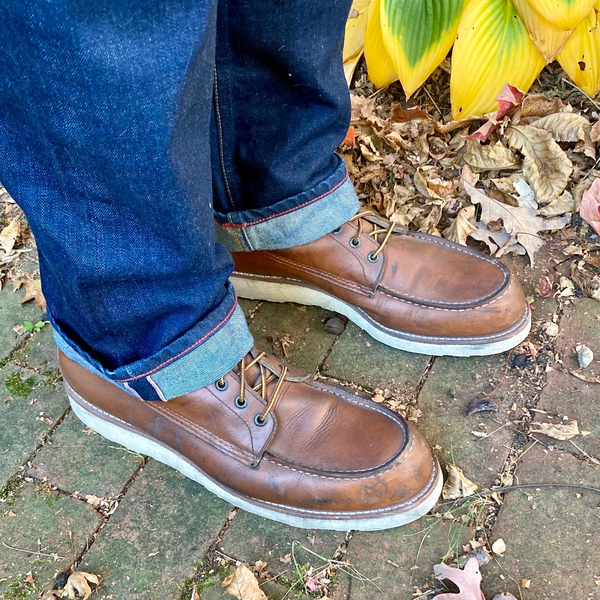 Photo by mreams99 on October 25, 2022 of the Red Wing 8-Inch Classic Moc in S.B. Foot Oro-Iginal.
