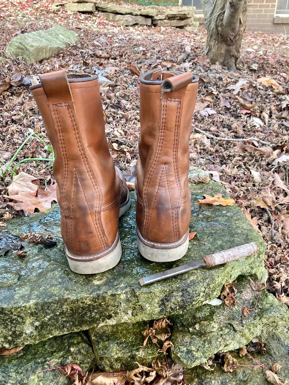 Photo by mreams99 on November 3, 2022 of the Red Wing 8-Inch Classic Moc in S.B. Foot Oro-Iginal.