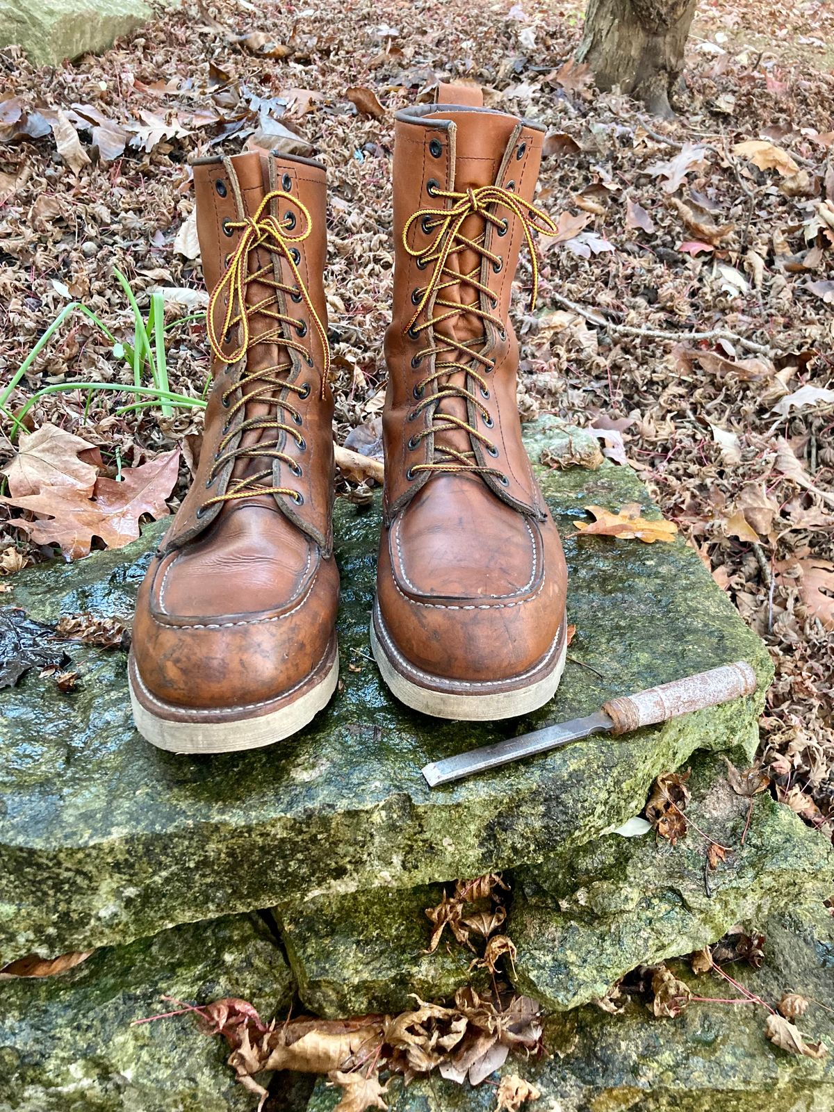 Photo by mreams99 on November 3, 2022 of the Red Wing 8-Inch Classic Moc in S.B. Foot Oro-Iginal.