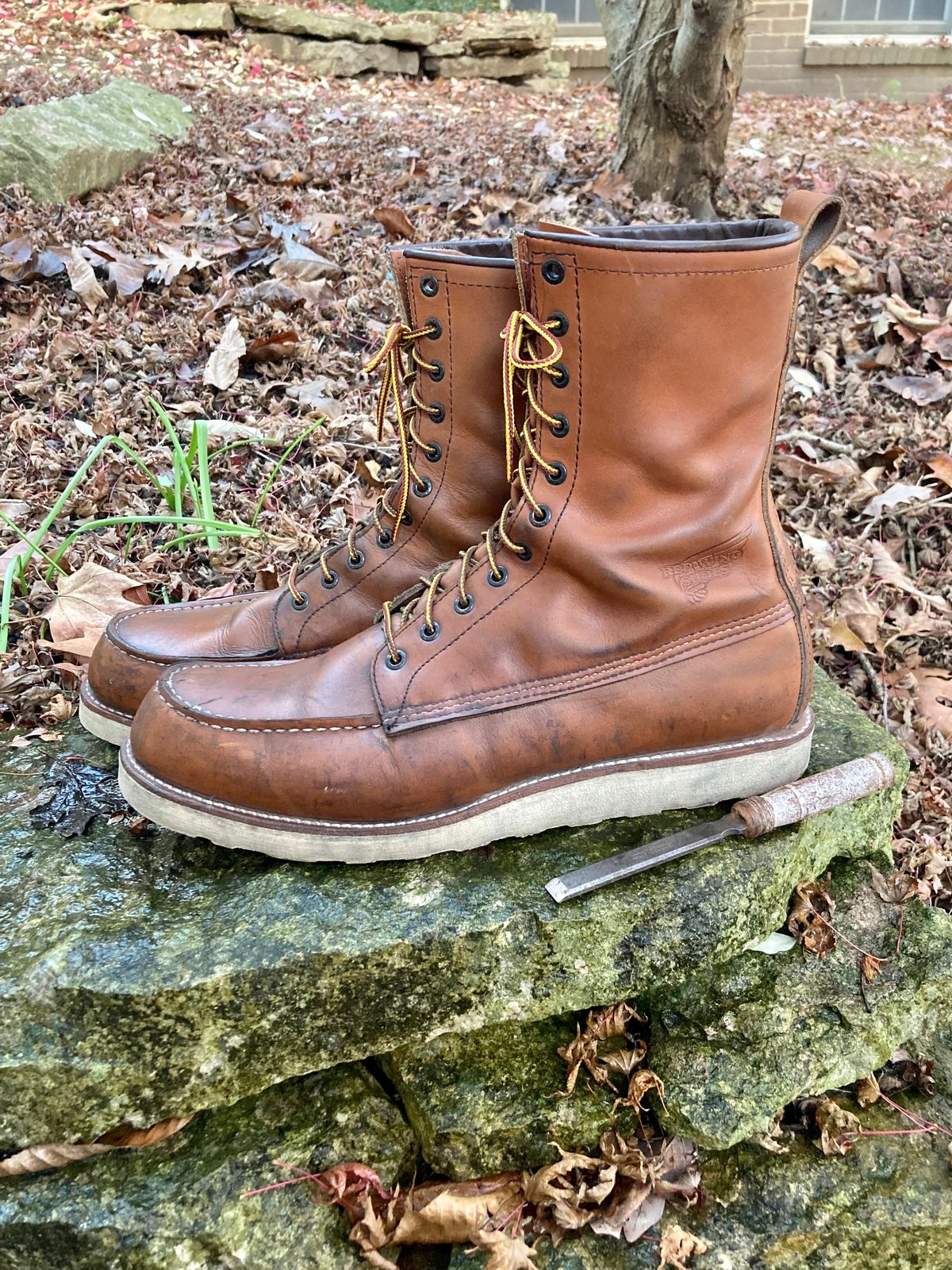 Photo by mreams99 on November 3, 2022 of the Red Wing 8-Inch Classic Moc in S.B. Foot Oro-Iginal.
