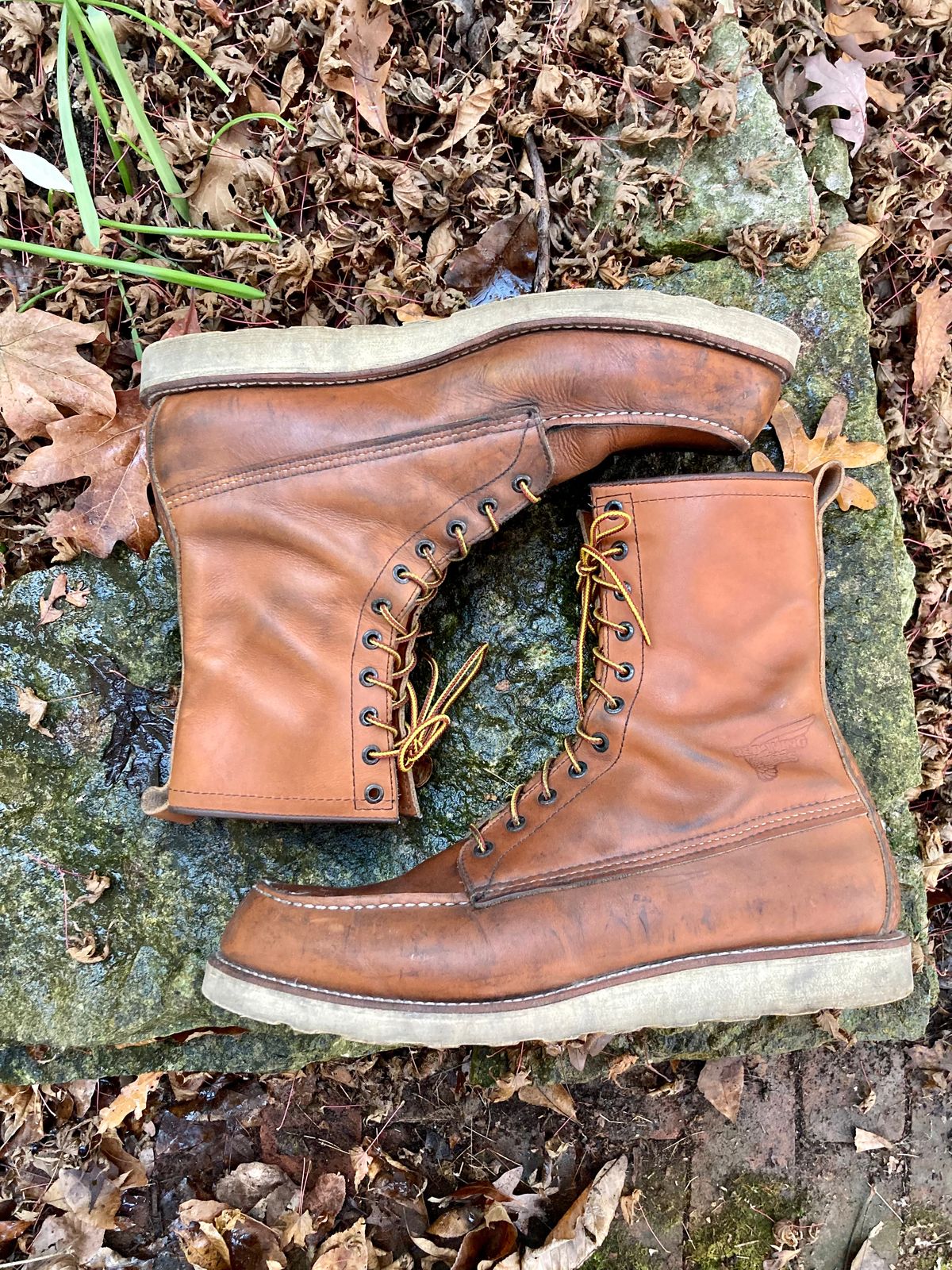 Photo by mreams99 on November 3, 2022 of the Red Wing 8-Inch Classic Moc in S.B. Foot Oro-Iginal.