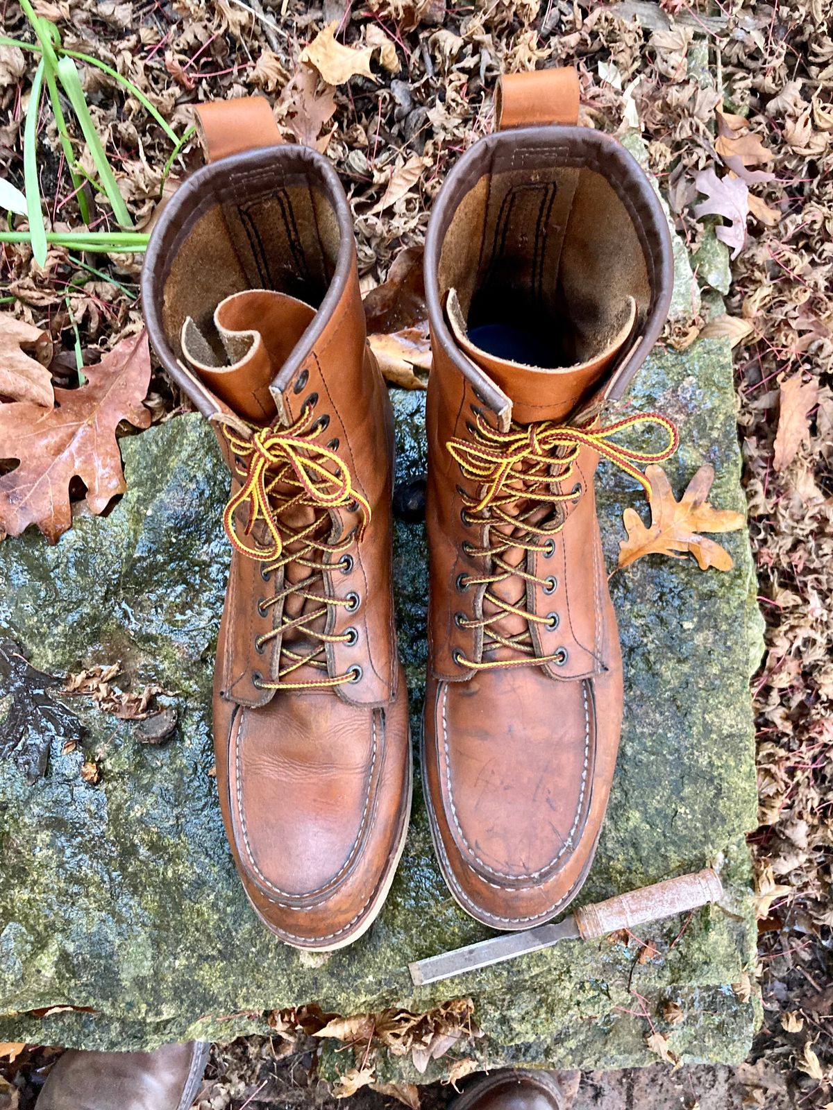 Photo by mreams99 on November 3, 2022 of the Red Wing 8-Inch Classic Moc in S.B. Foot Oro-Iginal.