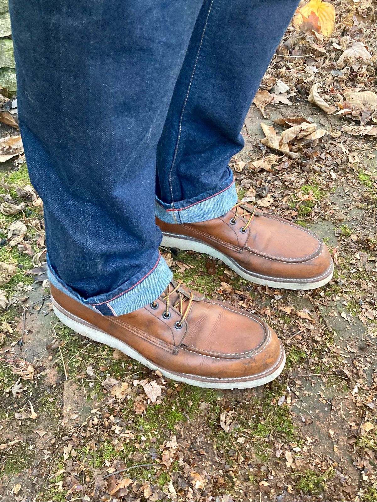 Photo by mreams99 on November 3, 2022 of the Red Wing 8-Inch Classic Moc in S.B. Foot Oro-Iginal.