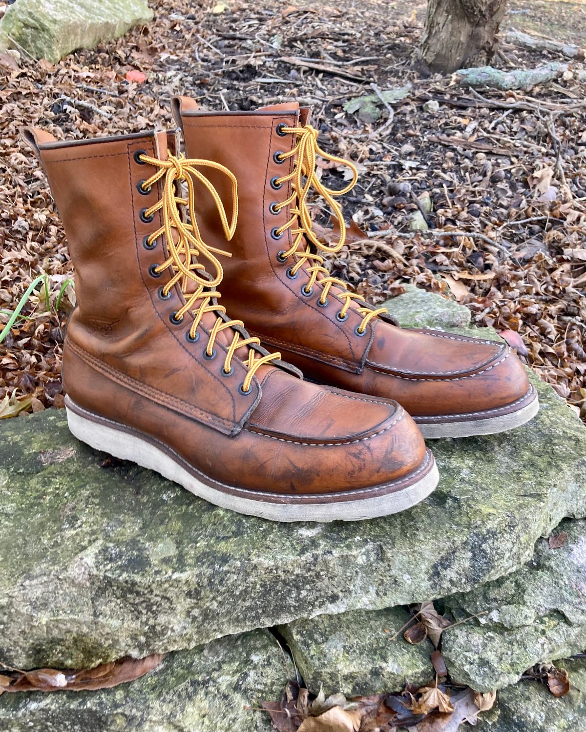 Photo by mreams99 on December 3, 2022 of the Red Wing 8-Inch Classic Moc in S.B. Foot Oro-Iginal.
