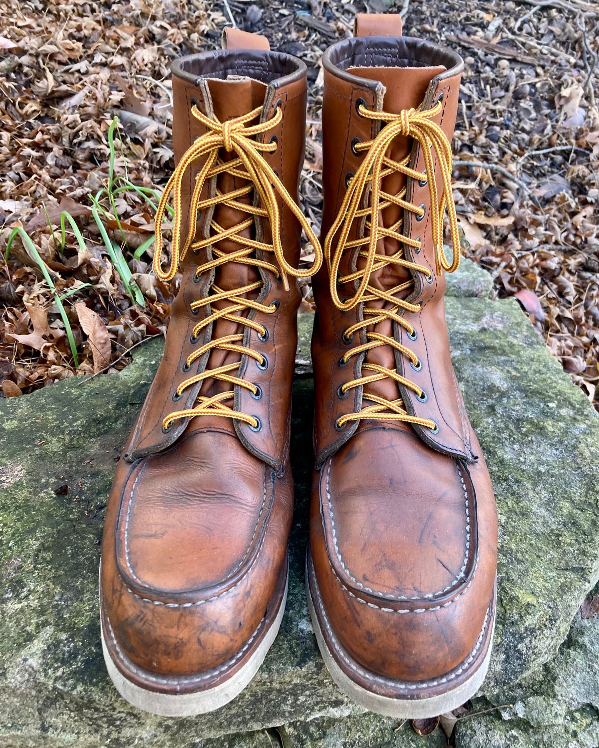Photo by mreams99 on December 3, 2022 of the Red Wing 8-Inch Classic Moc in S.B. Foot Oro-Iginal.