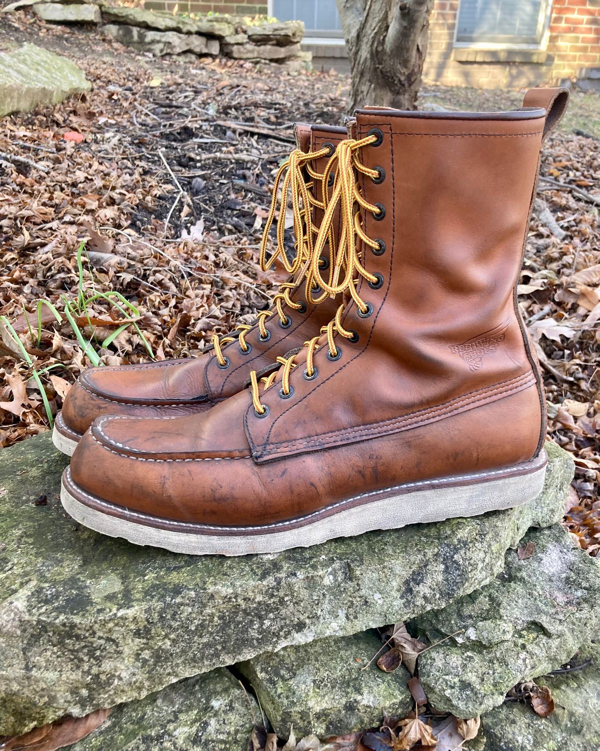 Photo by mreams99 on December 3, 2022 of the Red Wing 8-Inch Classic Moc in S.B. Foot Oro-Iginal.
