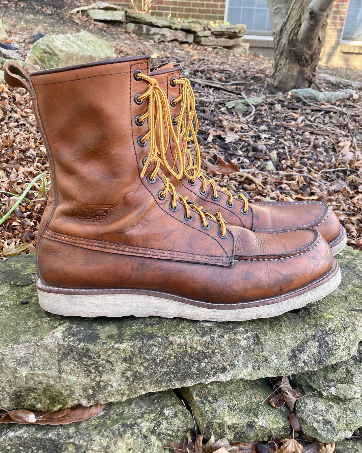 Photo by mreams99 on December 3, 2022 of the Red Wing 8-Inch Classic Moc in S.B. Foot Oro-Iginal.