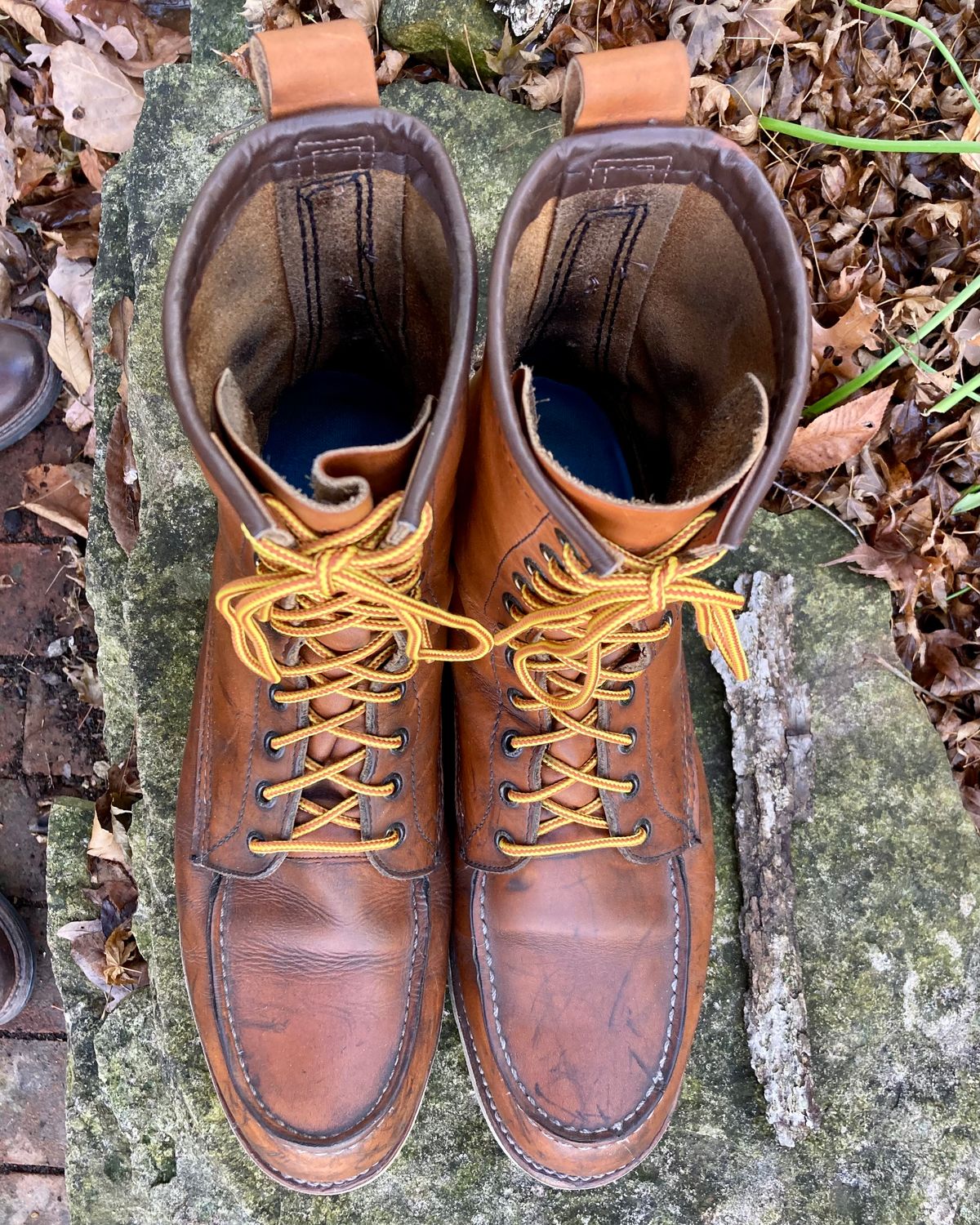 Photo by mreams99 on December 3, 2022 of the Red Wing 8-Inch Classic Moc in S.B. Foot Oro-Iginal.