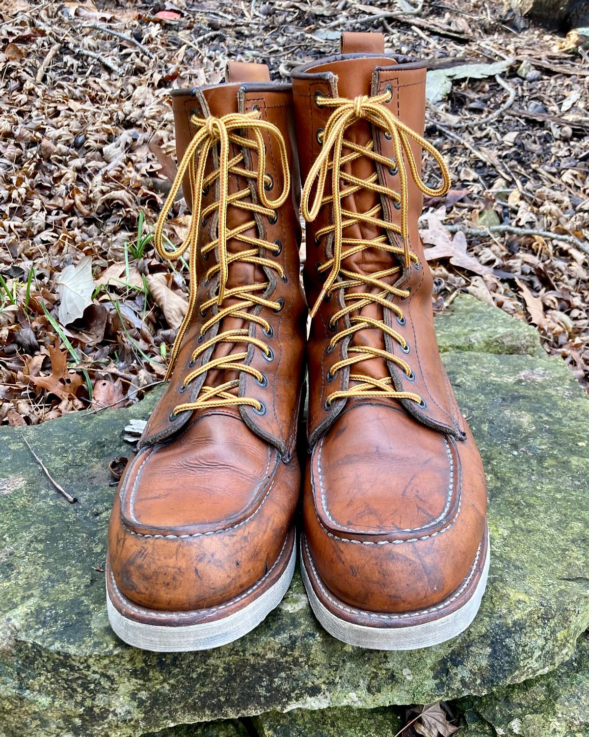Photo by mreams99 on January 2, 2023 of the Red Wing 8-Inch Classic Moc in S.B. Foot Oro-Iginal.