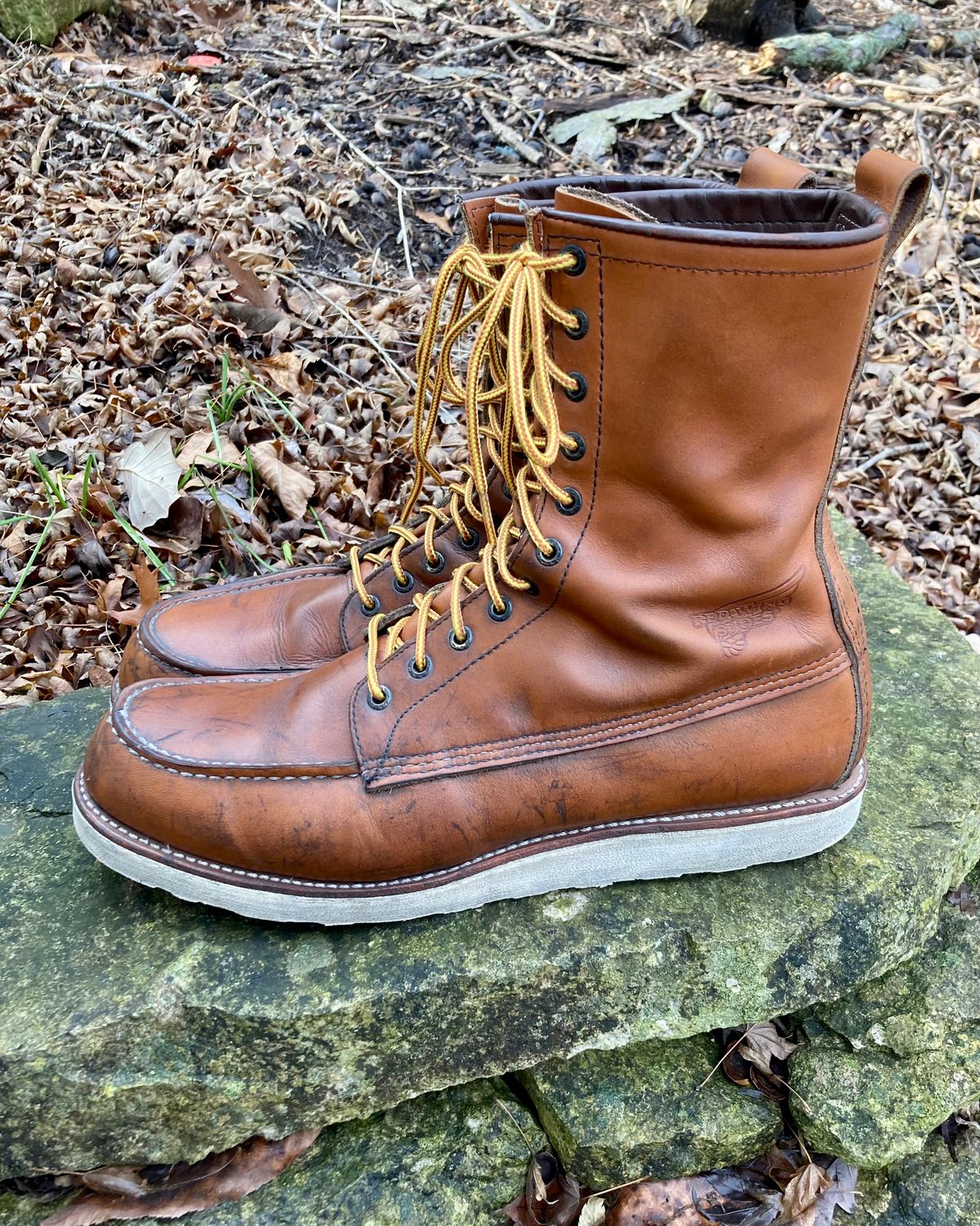 Photo by mreams99 on January 2, 2023 of the Red Wing 8-Inch Classic Moc in S.B. Foot Oro-Iginal.