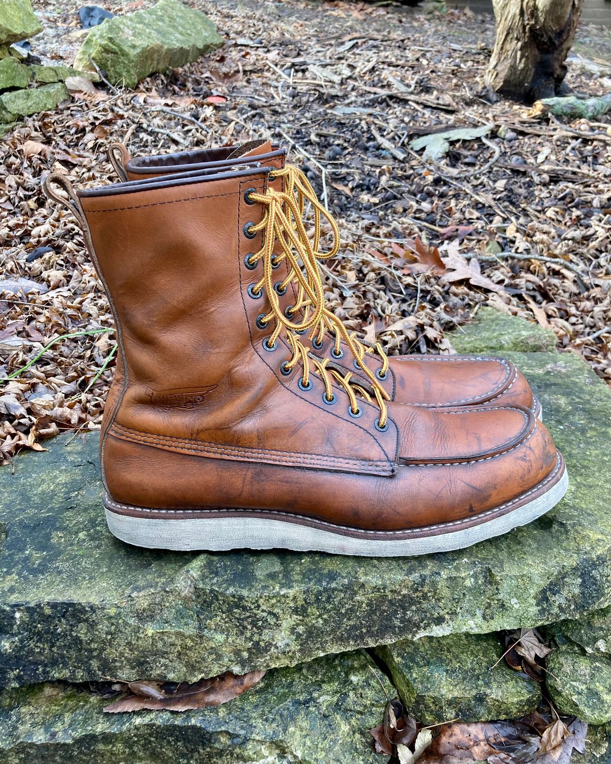 Photo by mreams99 on January 2, 2023 of the Red Wing 8-Inch Classic Moc in S.B. Foot Oro-Iginal.