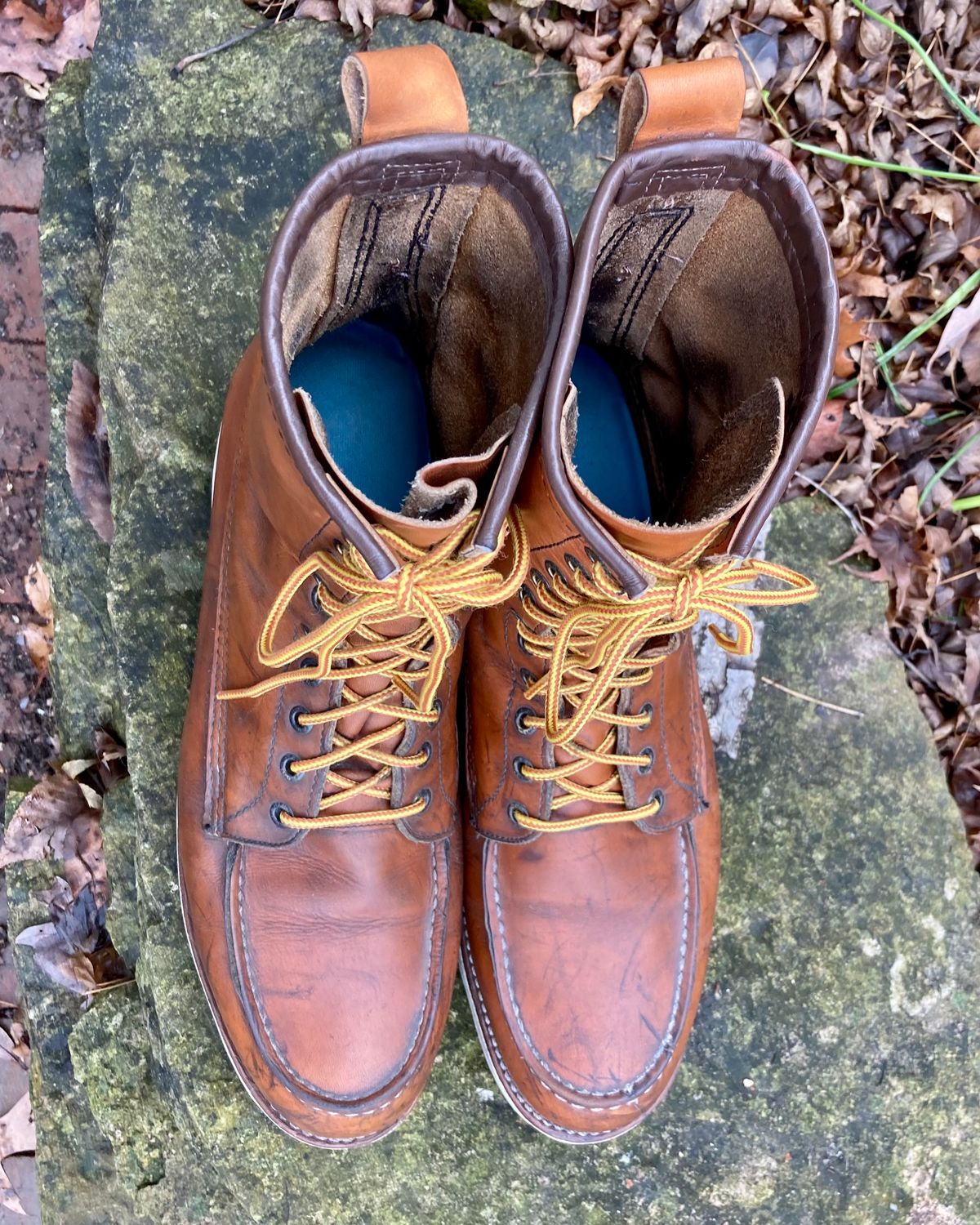Photo by mreams99 on January 2, 2023 of the Red Wing 8-Inch Classic Moc in S.B. Foot Oro-Iginal.