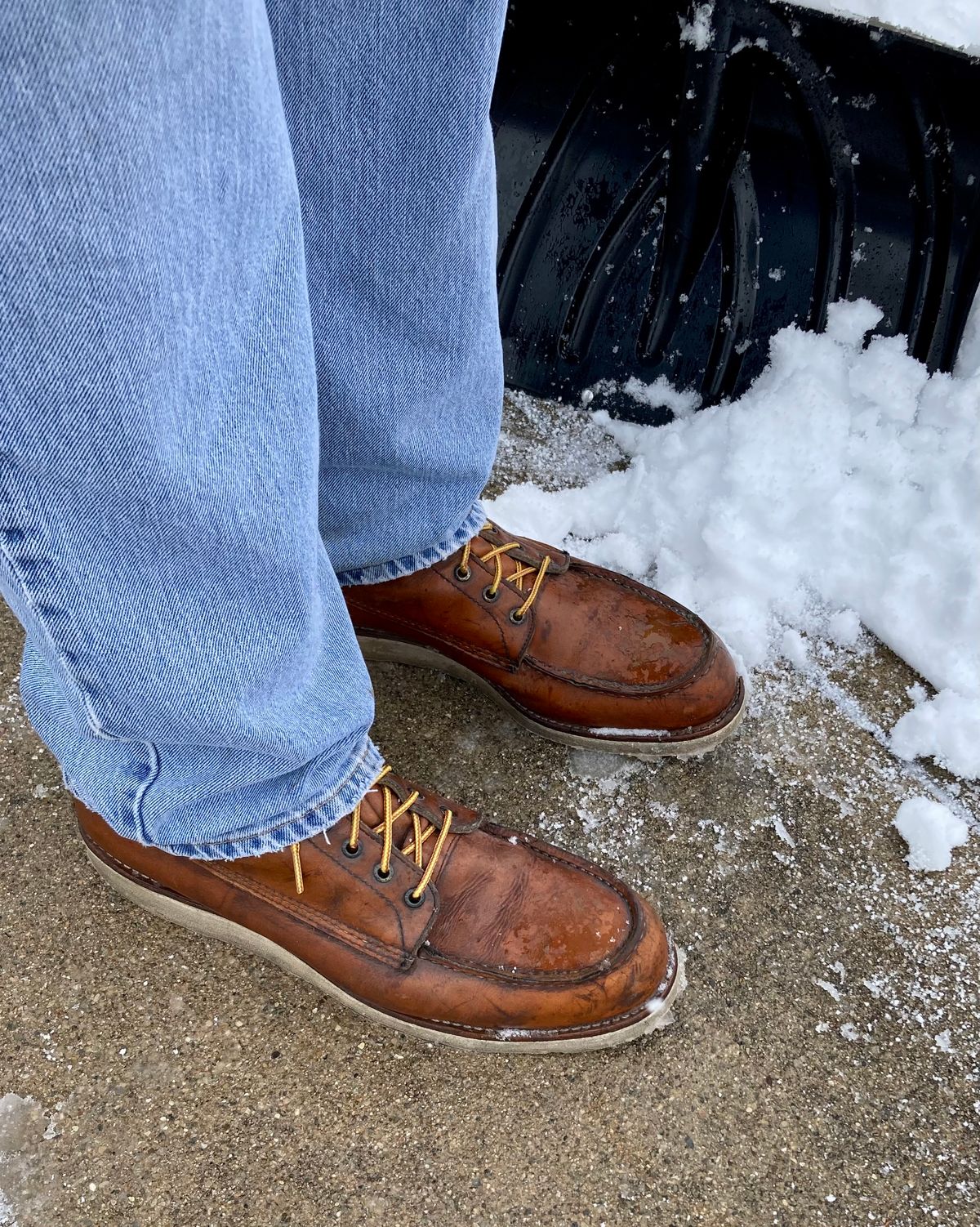 Photo by mreams99 on February 4, 2023 of the Red Wing 8-Inch Classic Moc in S.B. Foot Oro-Iginal.