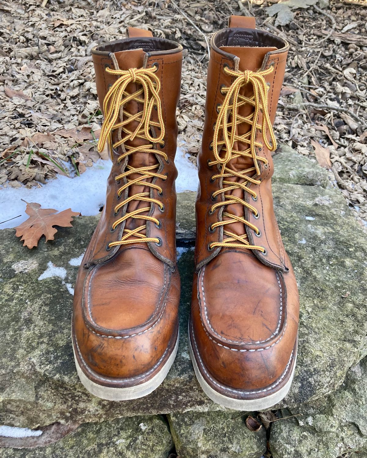 Photo by mreams99 on February 4, 2023 of the Red Wing 8-Inch Classic Moc in S.B. Foot Oro-Iginal.