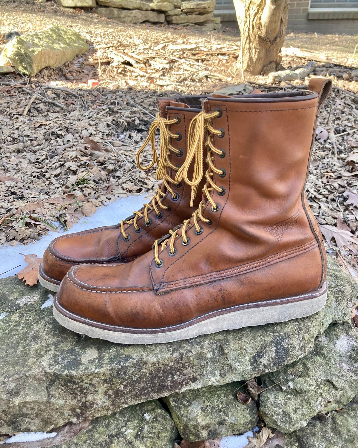 Photo by mreams99 on February 4, 2023 of the Red Wing 8-Inch Classic Moc in S.B. Foot Oro-Iginal.
