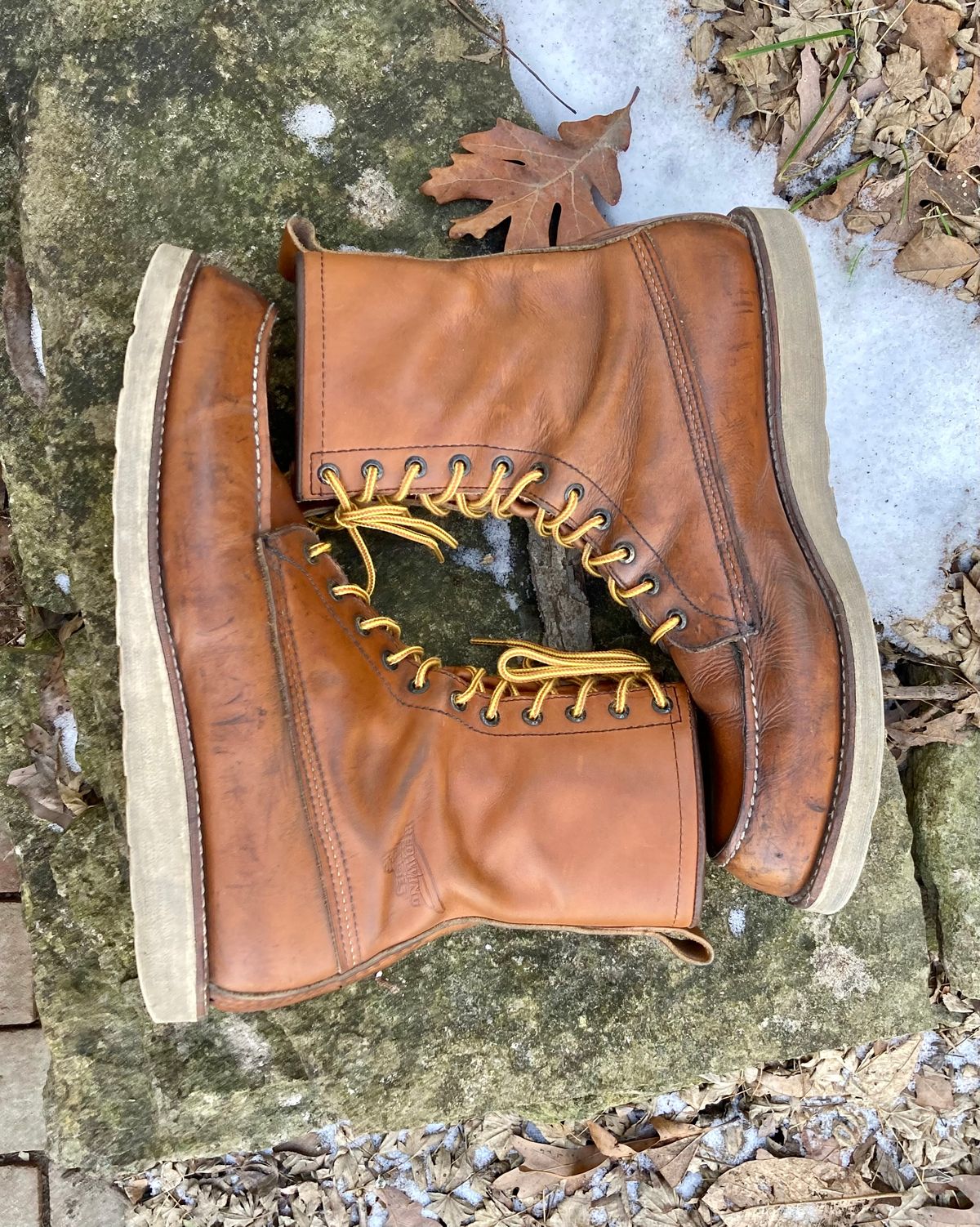 Photo by mreams99 on February 4, 2023 of the Red Wing 8-Inch Classic Moc in S.B. Foot Oro-Iginal.