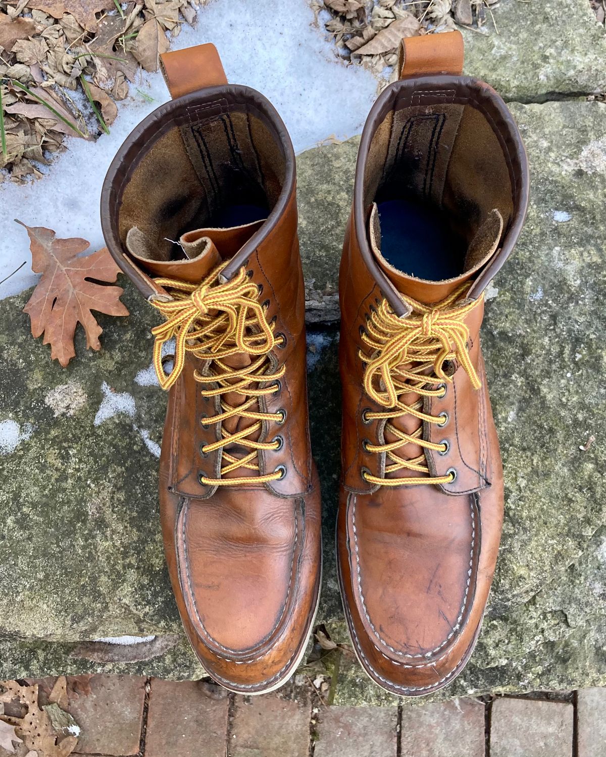 Photo by mreams99 on February 4, 2023 of the Red Wing 8-Inch Classic Moc in S.B. Foot Oro-Iginal.