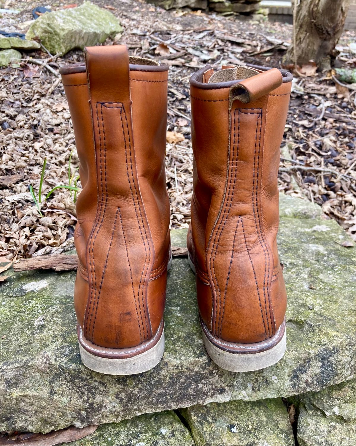 Photo by mreams99 on March 2, 2023 of the Red Wing 8-Inch Classic Moc in S.B. Foot Oro-Iginal.