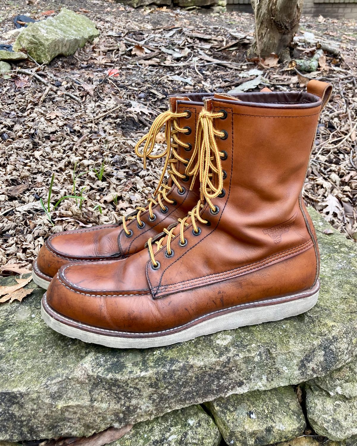 Photo by mreams99 on March 2, 2023 of the Red Wing 8-Inch Classic Moc in S.B. Foot Oro-Iginal.