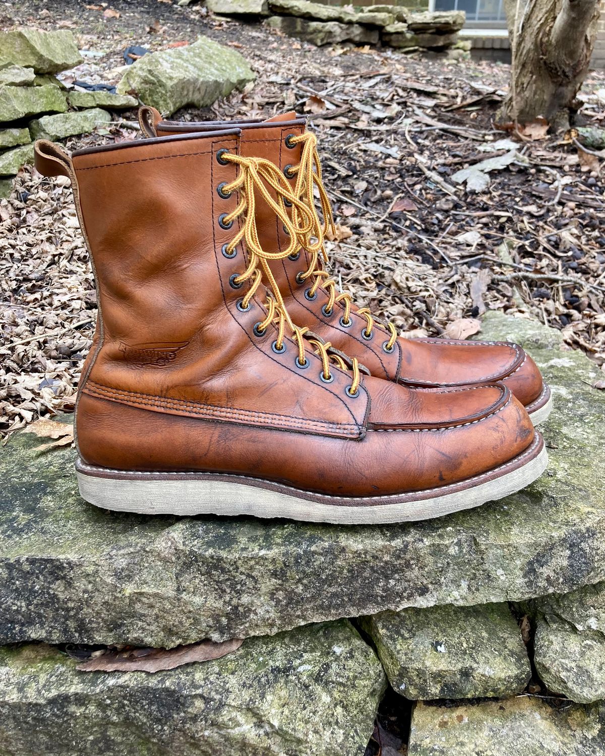 Photo by mreams99 on March 2, 2023 of the Red Wing 8-Inch Classic Moc in S.B. Foot Oro-Iginal.