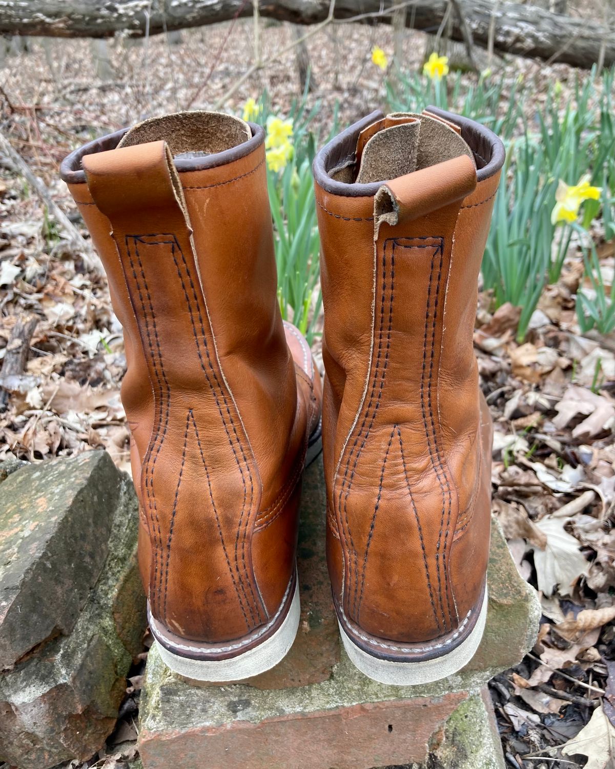 Photo by mreams99 on April 2, 2023 of the Red Wing 8-Inch Classic Moc in S.B. Foot Oro-Iginal.