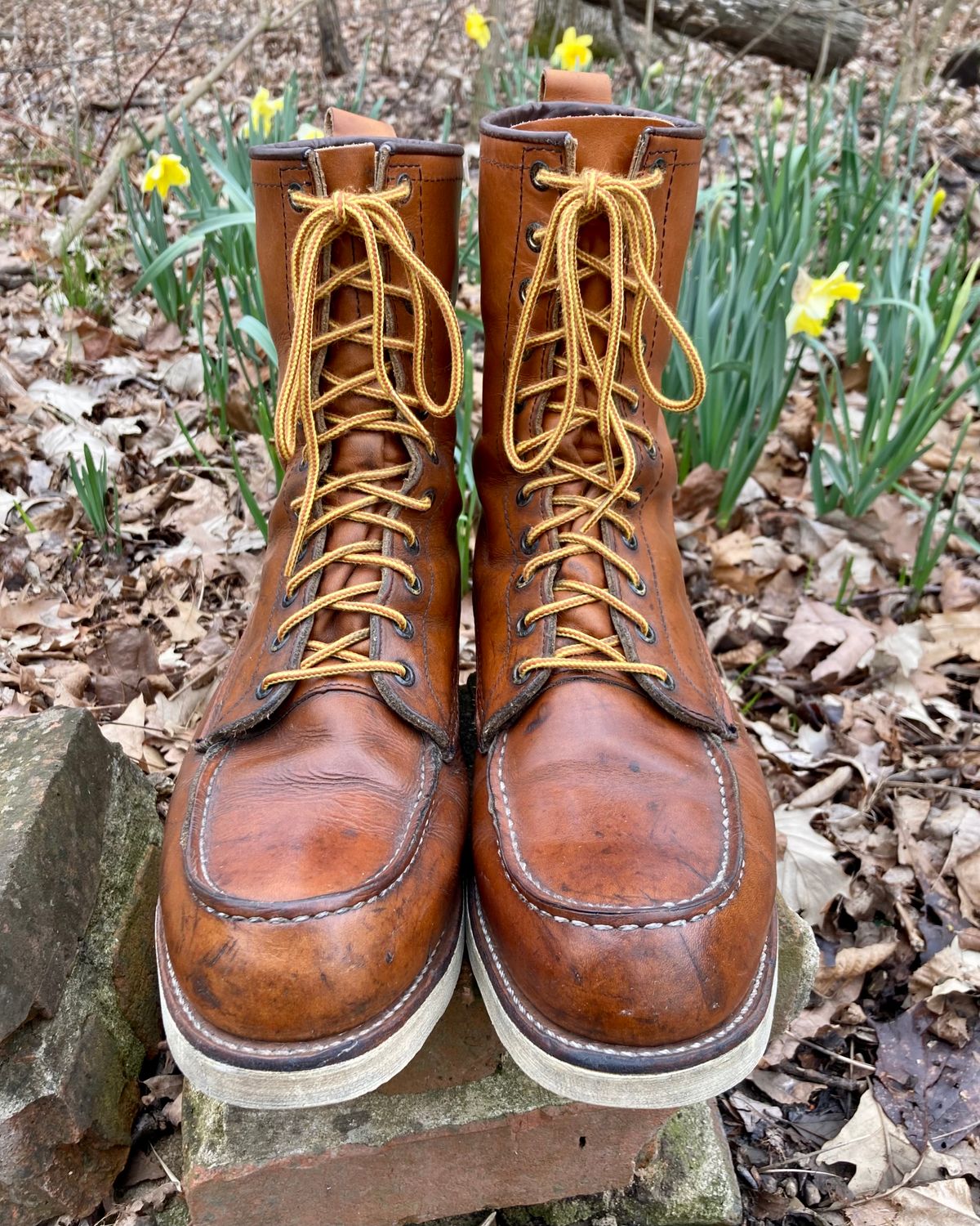 Photo by mreams99 on April 2, 2023 of the Red Wing 8-Inch Classic Moc in S.B. Foot Oro-Iginal.