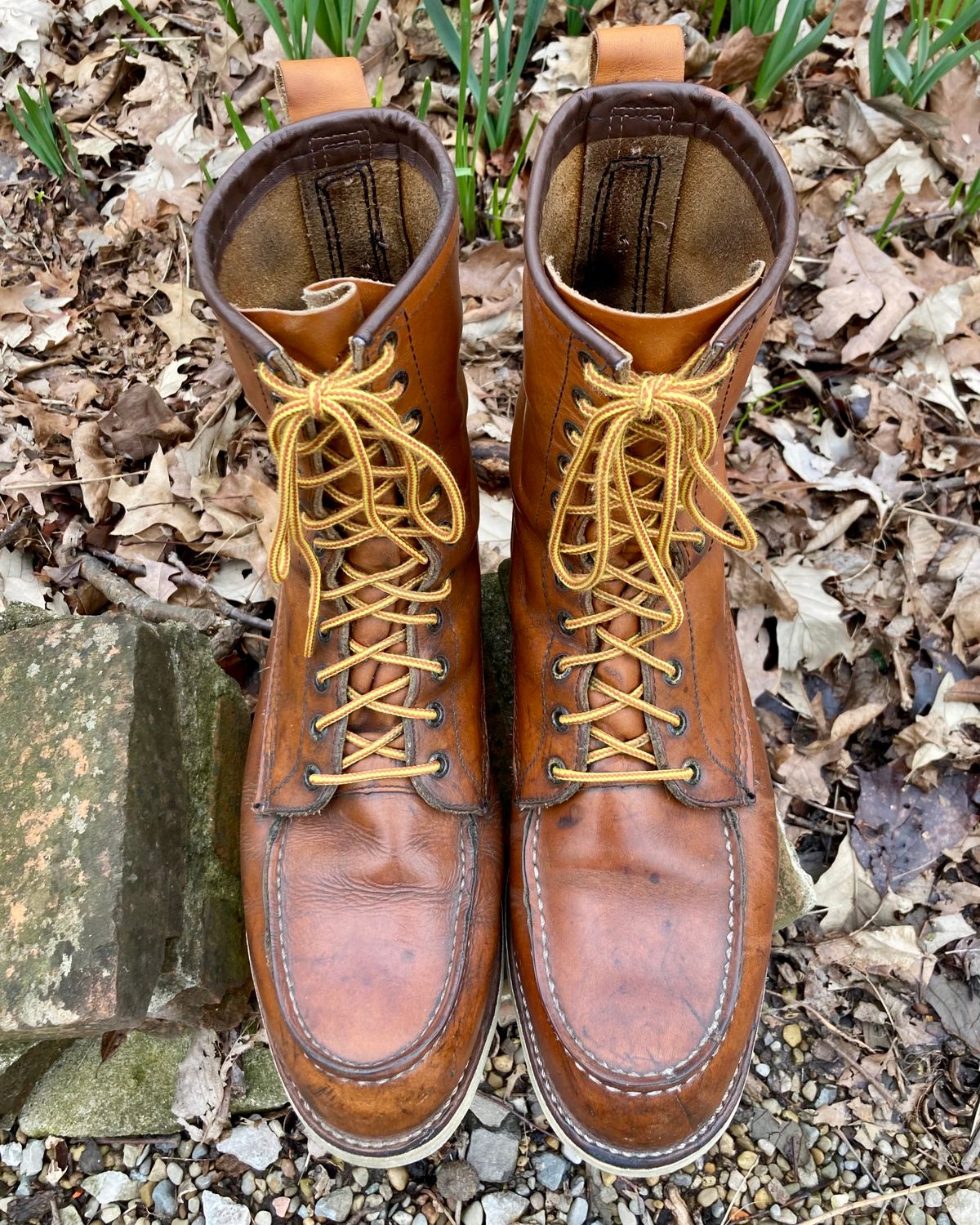 Photo by mreams99 on April 2, 2023 of the Red Wing 8-Inch Classic Moc in S.B. Foot Oro-Iginal.