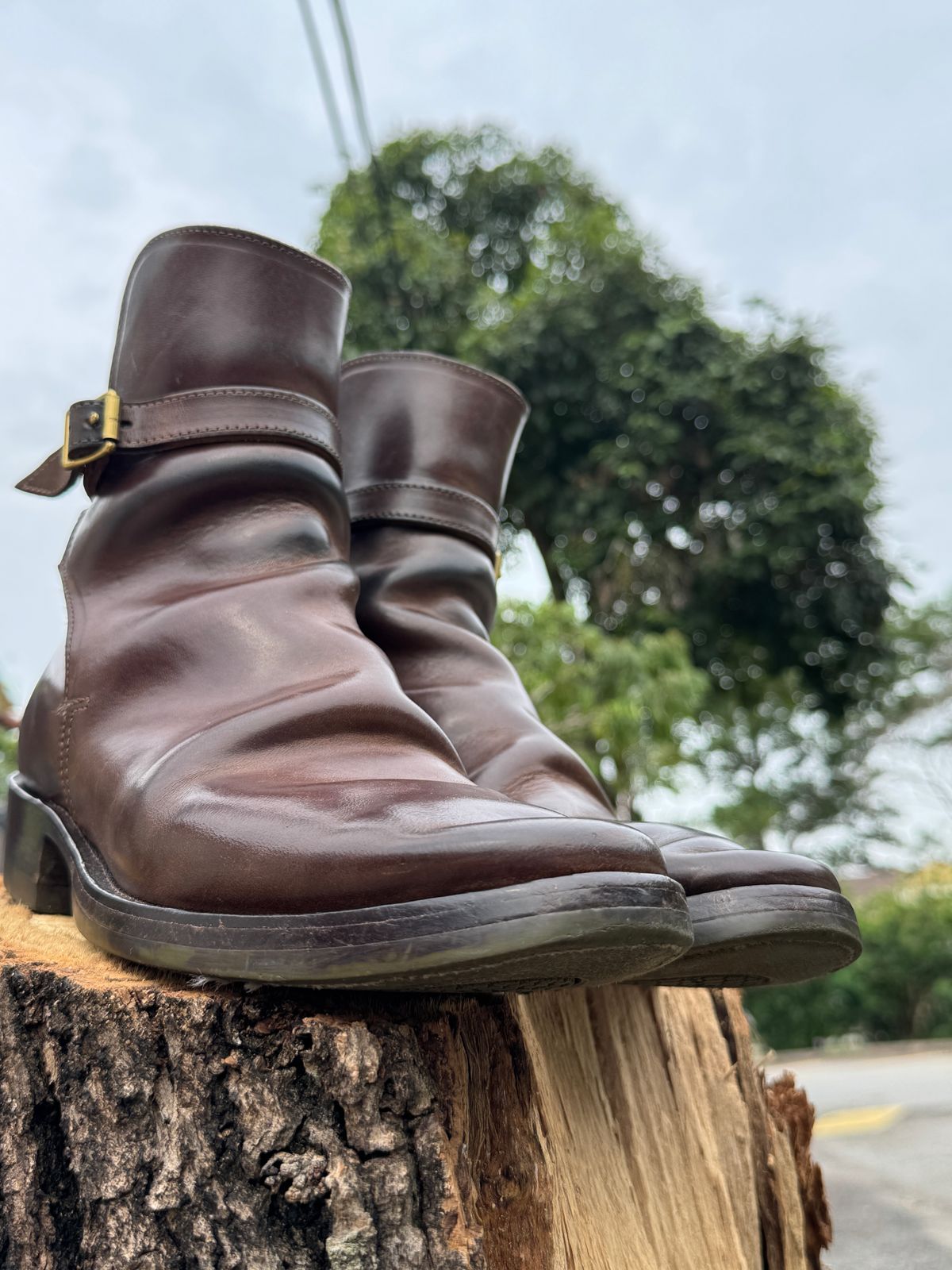 Photo by mk_alexchong on March 20, 2025 of the XBXS Jodhpur in Maryam Brown Horsebutt.