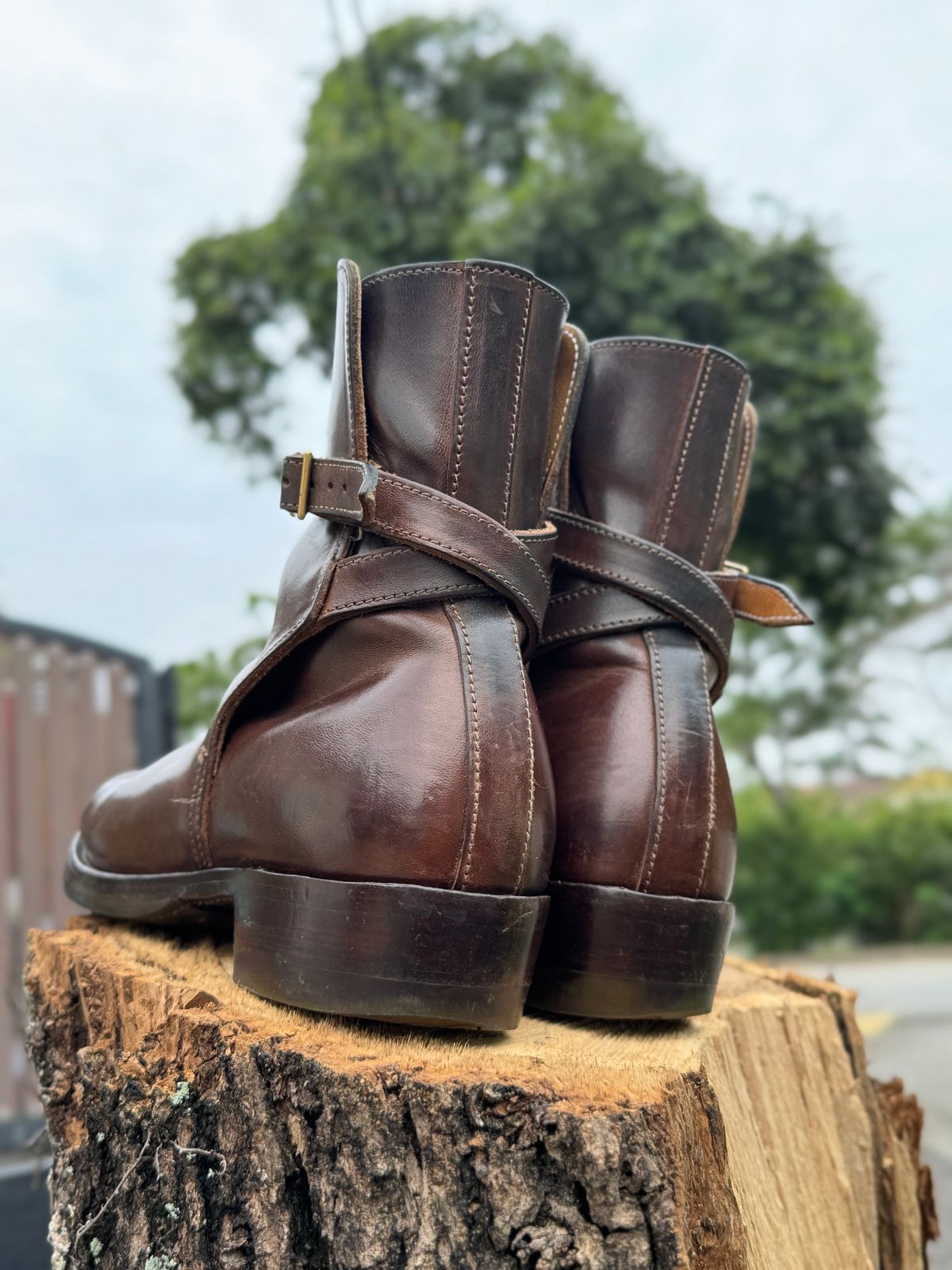 Photo by mk_alexchong on March 20, 2025 of the XBXS Jodhpur in Maryam Brown Horsebutt.