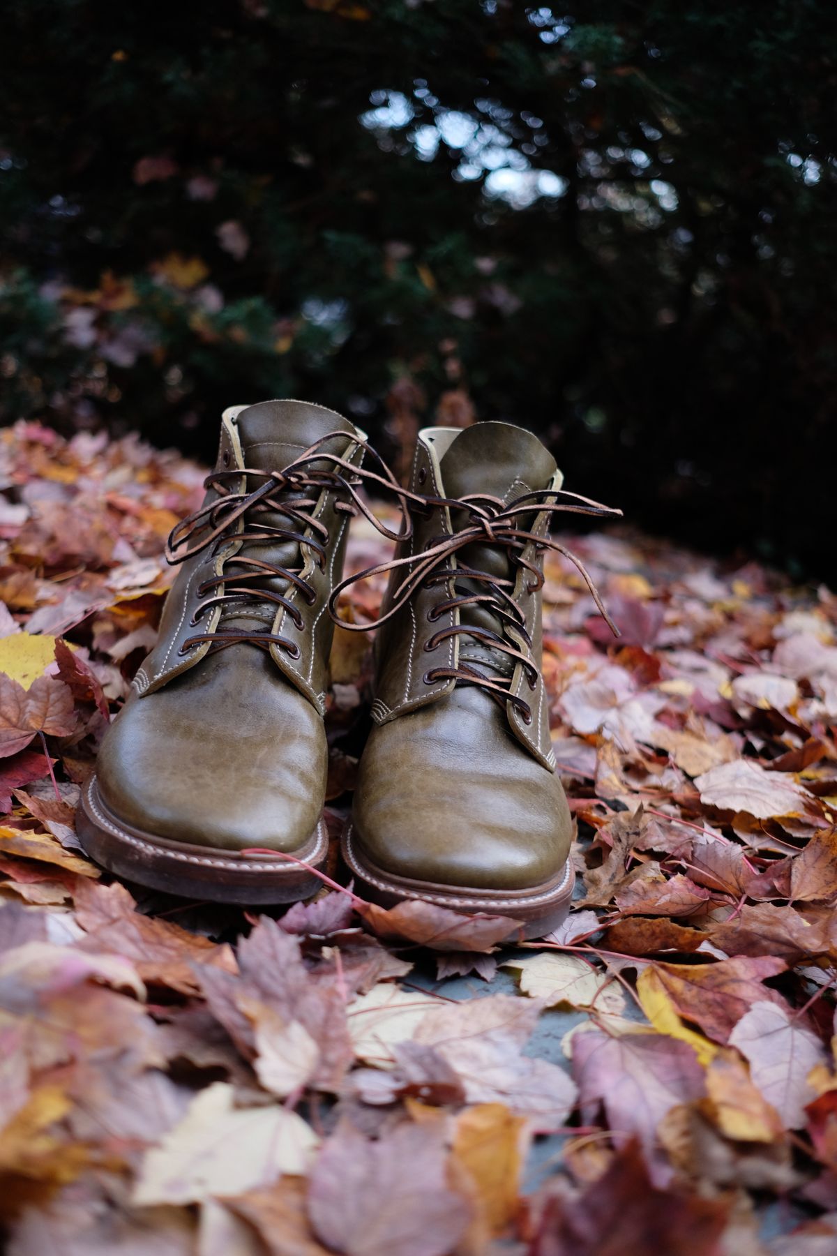 Photo by jononono on November 5, 2022 of the John Lofgren M-43 Service Shoes in Shinki Olive Shrunken Horsebutt.