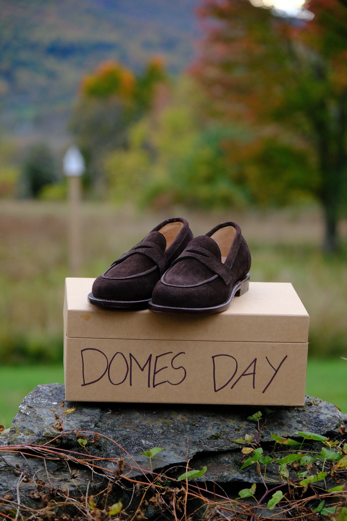Photo by jononono on October 10, 2024 of the Grant Stone Clara Penny Loafer in C.F. Stead Espresso Repello Calf Suede.