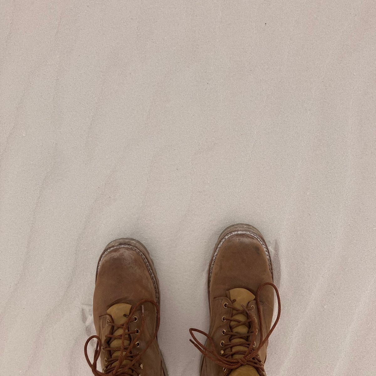 Photo by todd_ted on March 16, 2024 of the Nicks Ridgeline Hiking Boot in Seidel WeatherShield Brown.