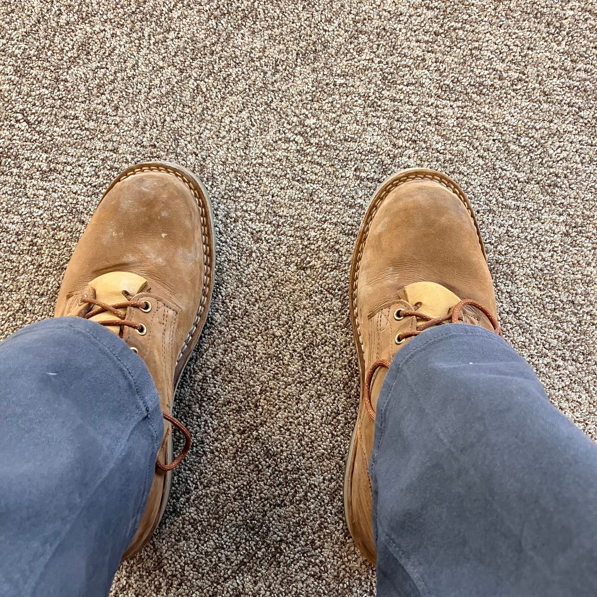 Photo by todd_ted on March 22, 2024 of the Nicks Ridgeline Hiking Boot in Seidel WeatherShield Brown.