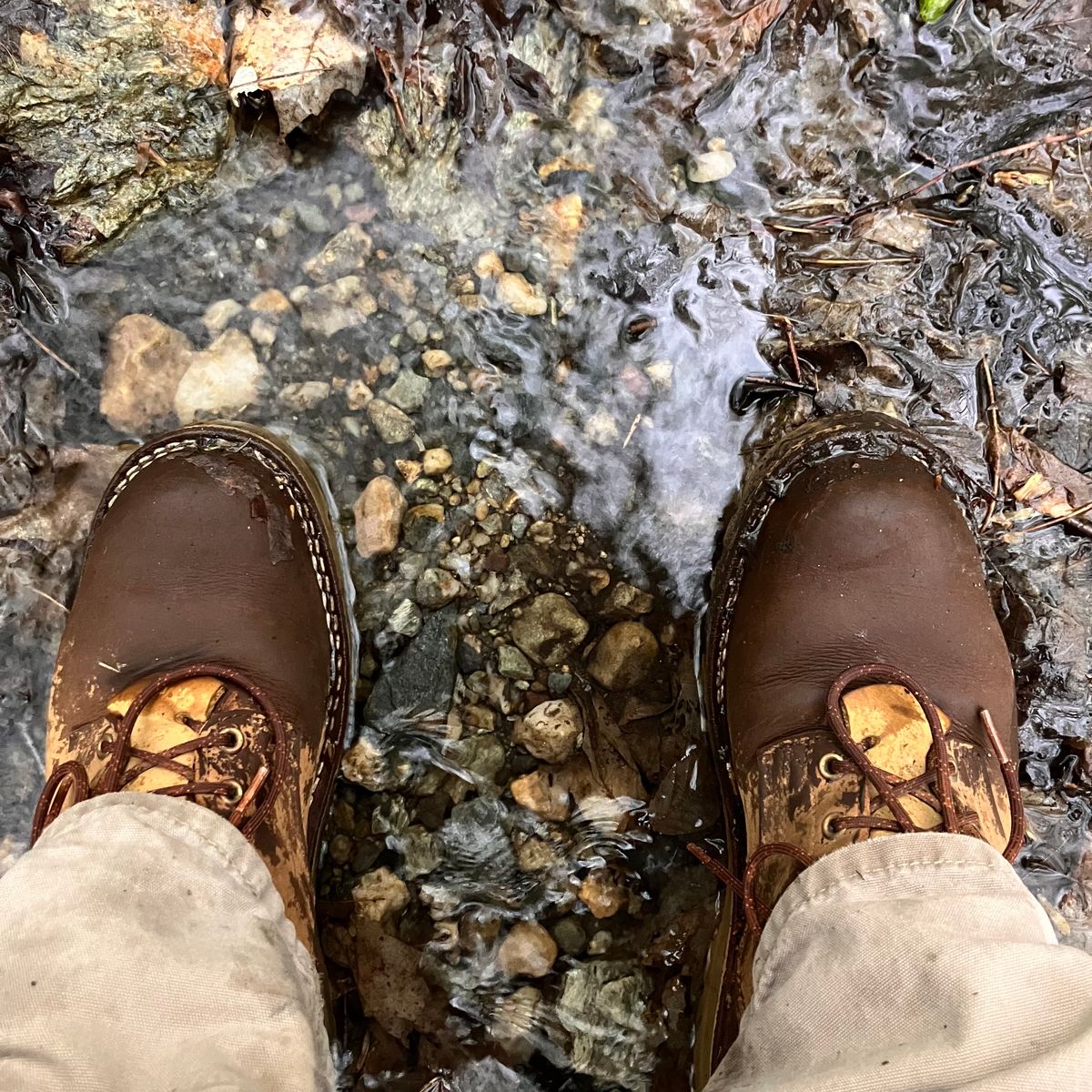 Photo by todd_ted on May 15, 2024 of the Nicks Ridgeline Hiking Boot in Seidel WeatherShield Brown.