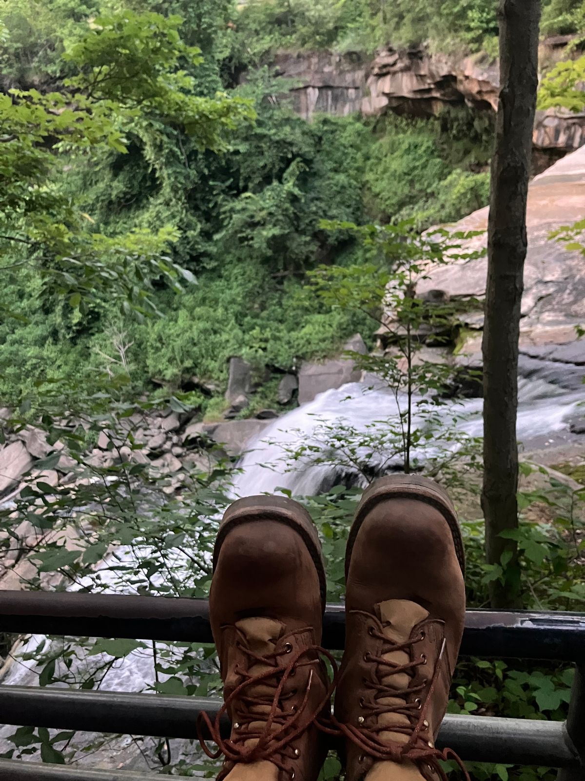 Photo by todd_ted on June 18, 2024 of the Nicks Ridgeline Hiking Boot in Seidel WeatherShield Brown.