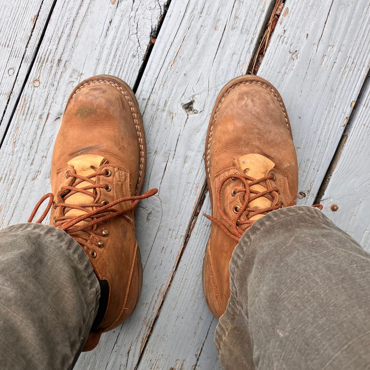 Photo by todd_ted on July 3, 2024 of the Nicks Ridgeline Hiking Boot in Seidel WeatherShield Brown.