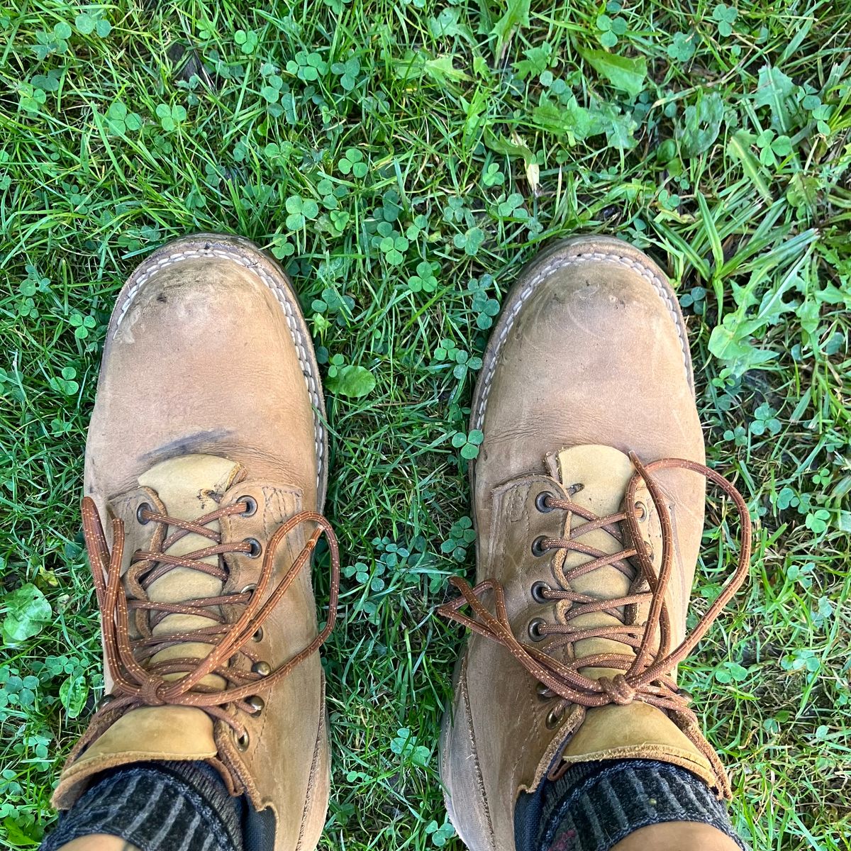 Photo by todd_ted on September 16, 2024 of the Nicks Ridgeline Hiking Boot in Seidel WeatherShield Brown.