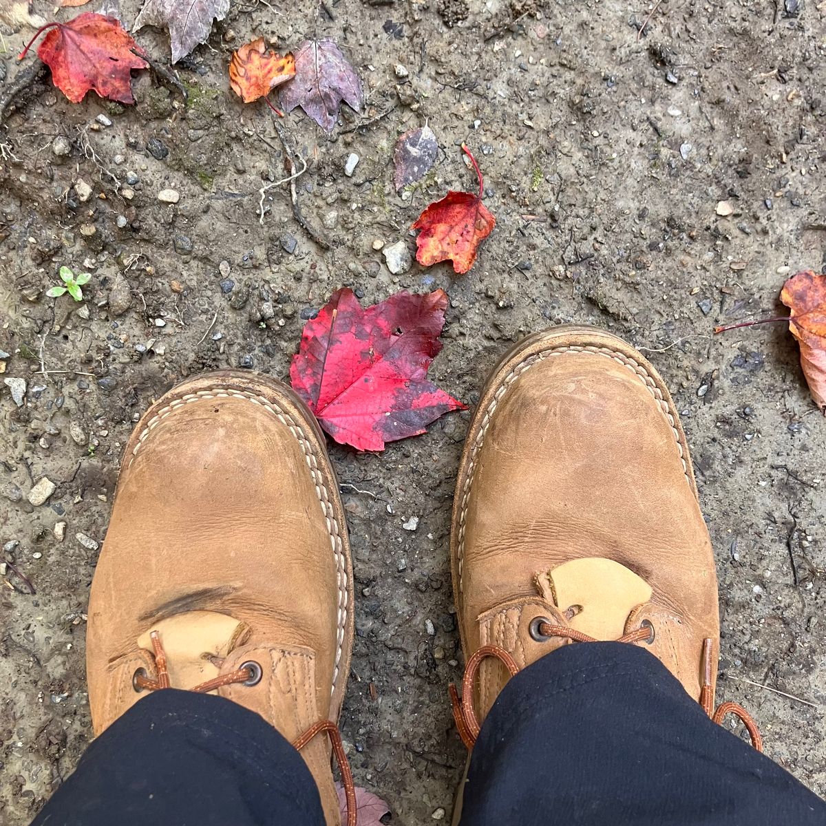 Photo by todd_ted on October 1, 2024 of the Nicks Ridgeline Hiking Boot in Seidel WeatherShield Brown.