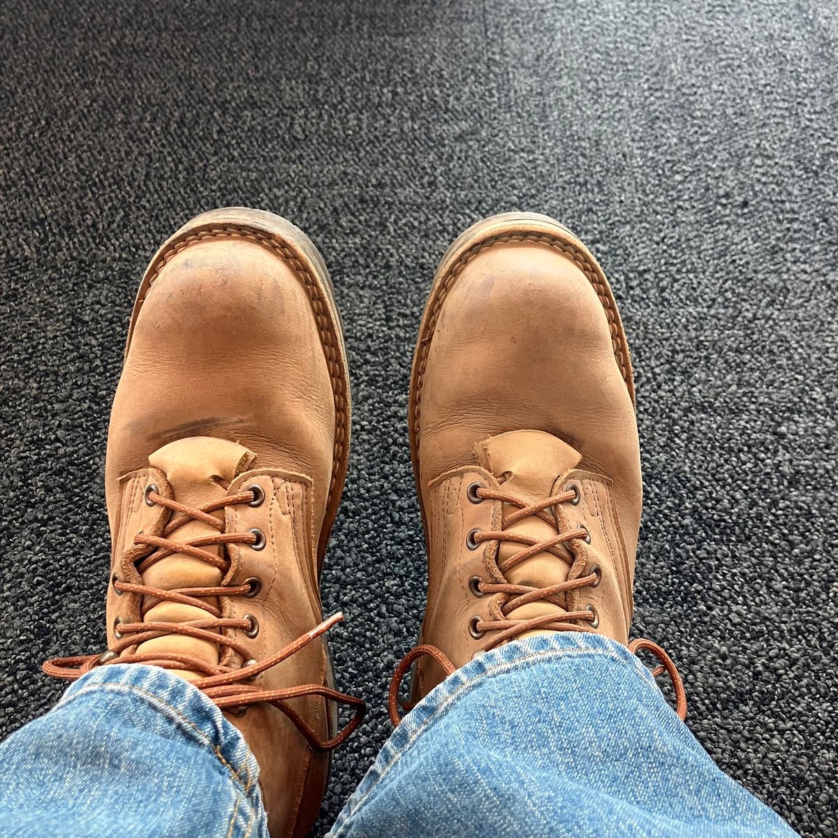 Photo by todd_ted on November 4, 2024 of the Nicks Ridgeline Hiking Boot in Seidel WeatherShield Brown.