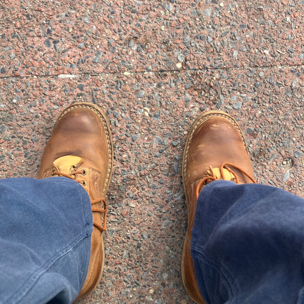 Photo by todd_ted on February 26, 2025 of the Nicks Ridgeline Hiking Boot in Seidel WeatherShield Brown.