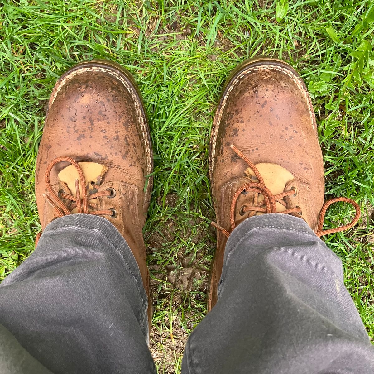 Photo by todd_ted on May 7, 2025 of the Nicks Ridgeline Hiking Boot in Seidel WeatherShield Brown.