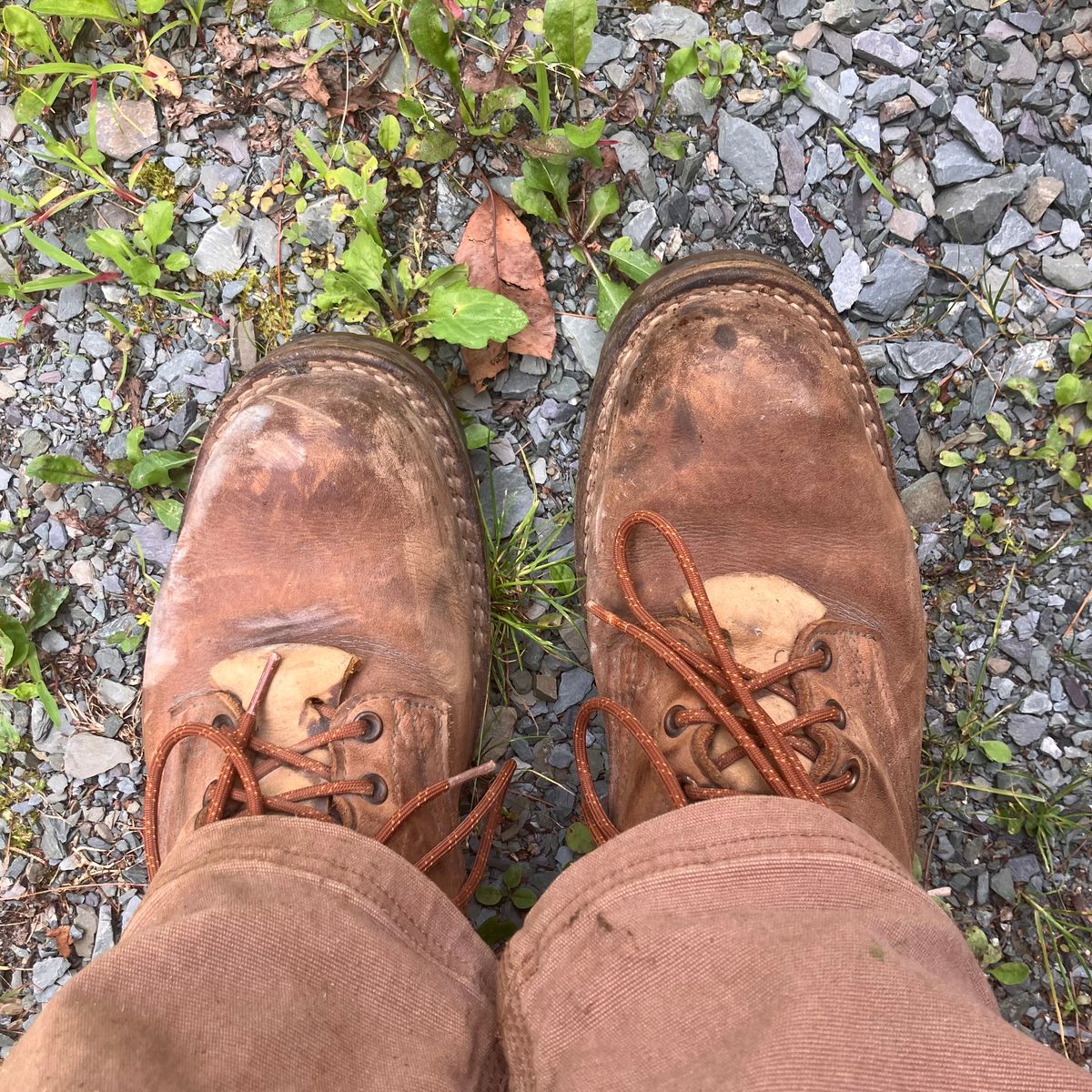 Photo by todd_ted on August 6, 2025 of the Nicks Ridgeline Hiking Boot in Seidel WeatherShield Brown.