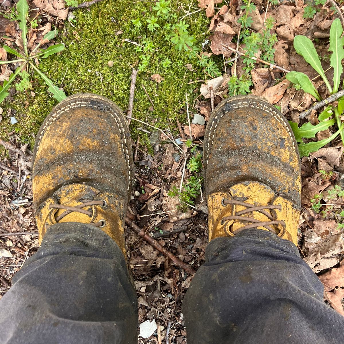 Photo by todd_ted on April 22, 2026 of the Nicks Tactical in Tasman Leather Group Coyote Roughout.