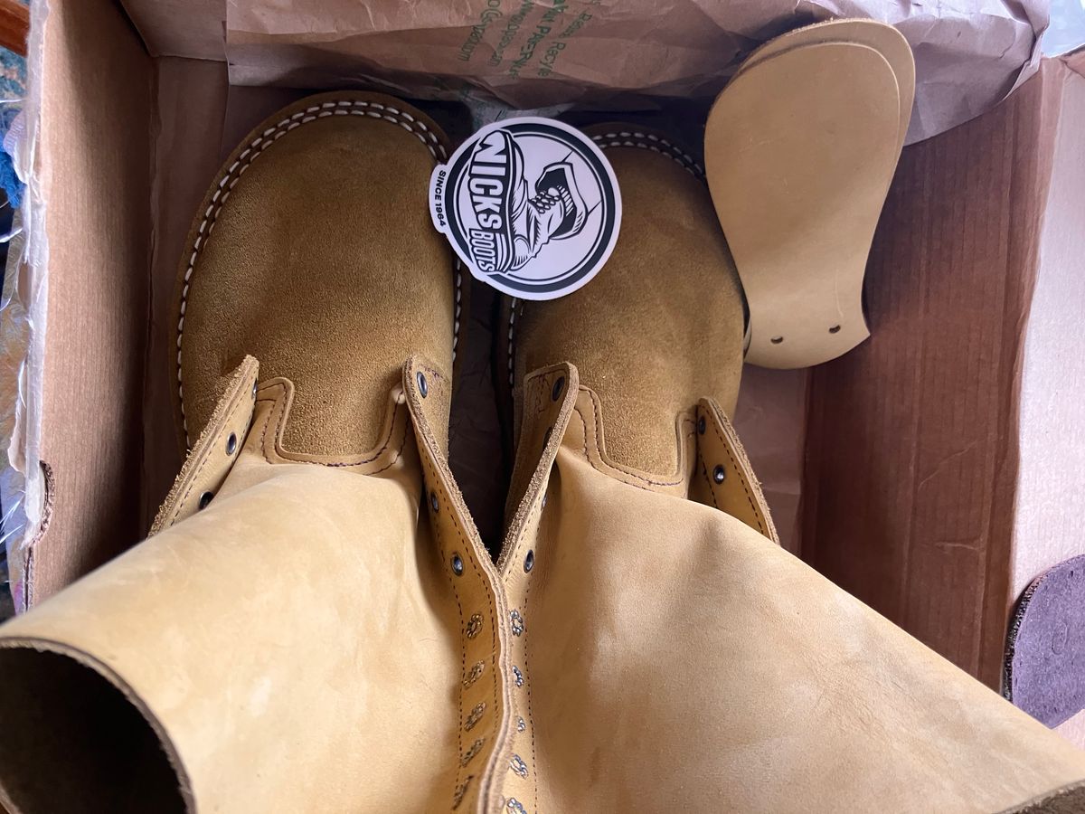 Photo by todd_ted on April 20, 2026 of the Nicks Tactical in Tasman Leather Group Coyote Roughout.