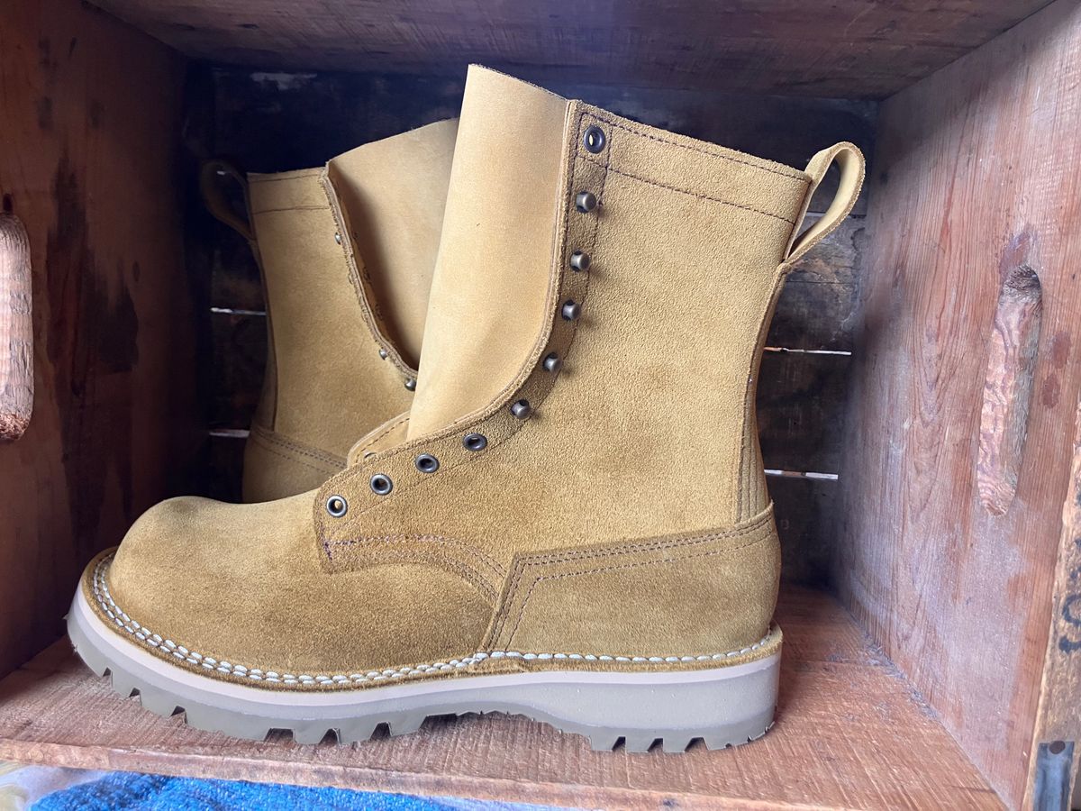 Photo by todd_ted on April 20, 2026 of the Nicks Tactical in Tasman Leather Group Coyote Roughout.